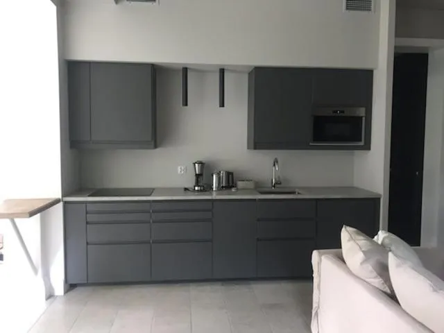 Kitchen or kitchenette in Villa Park Wisełka Spa & Wellness