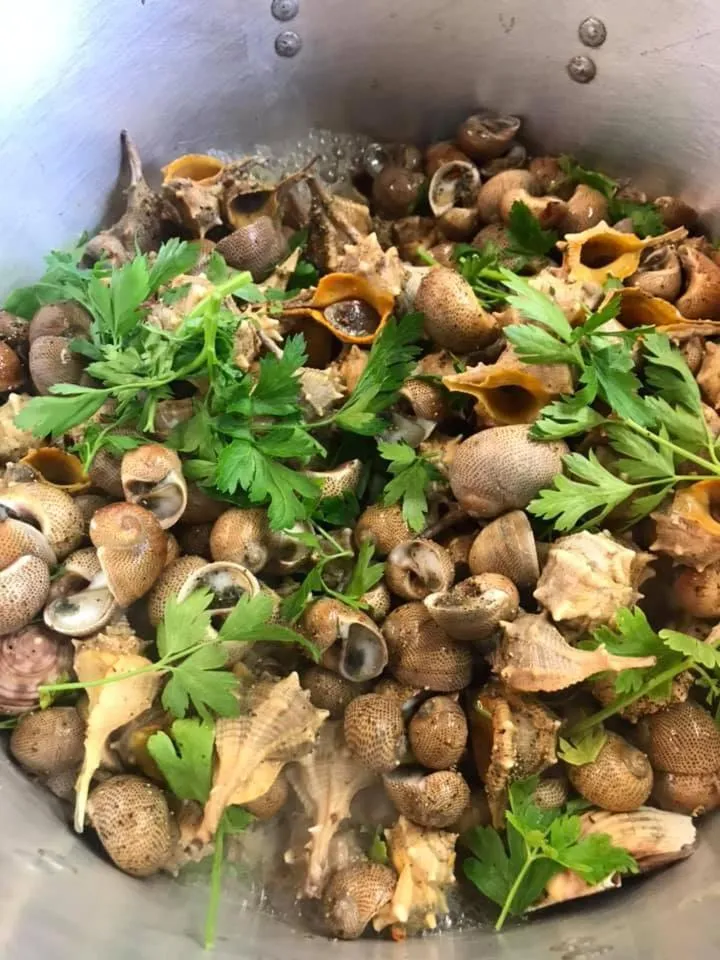 Restaurant/places to eat in Hotel Alex