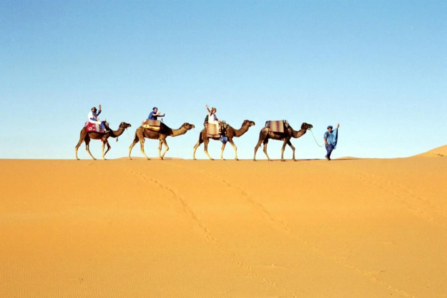 Activities in Haven La Chance Desert Hotel