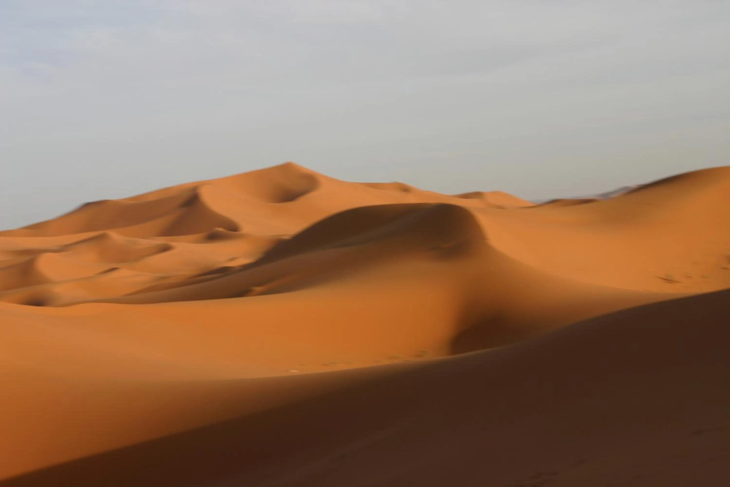 Natural landscape in Haven La Chance Desert Hotel