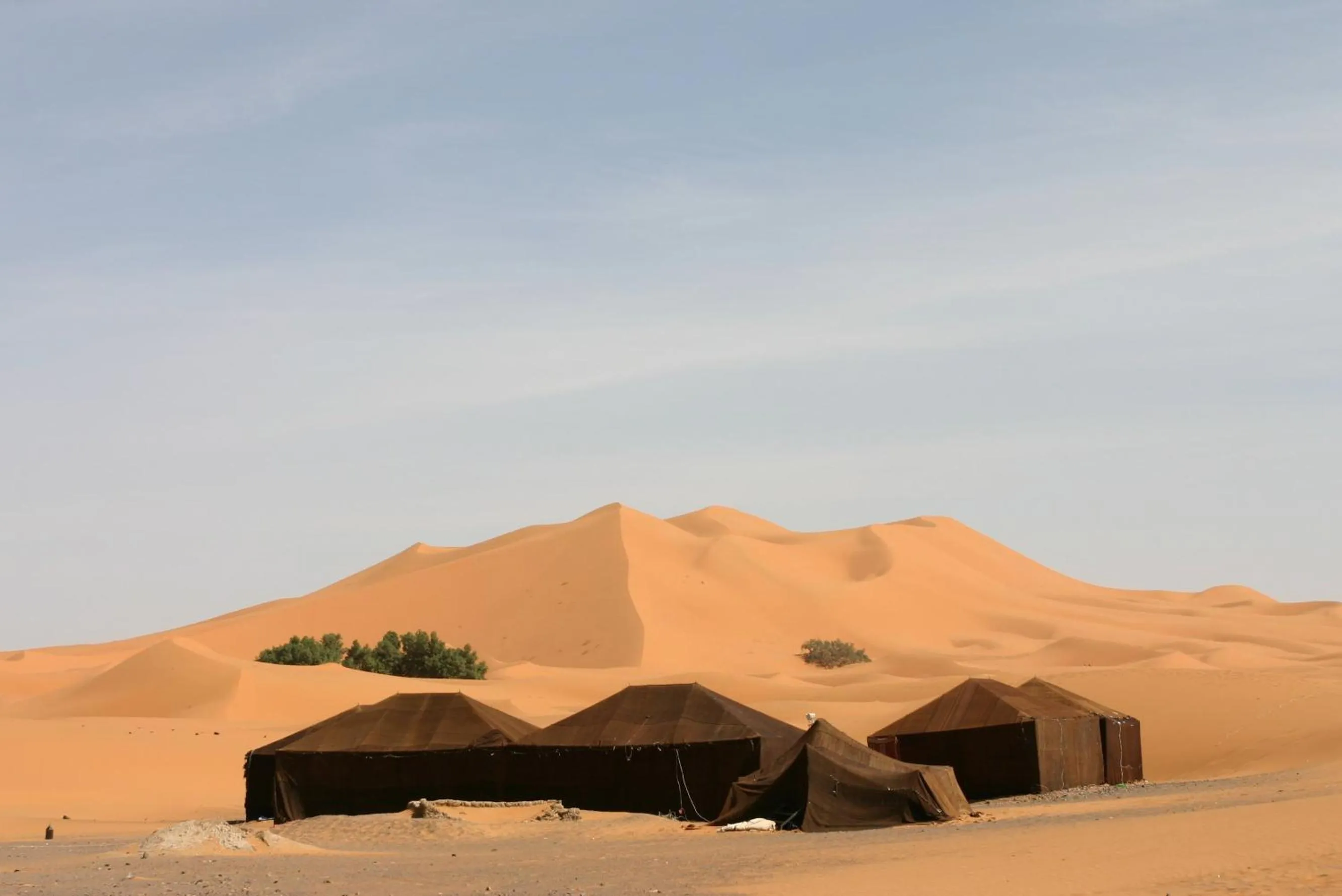 Natural landscape in Haven La Chance Desert Hotel