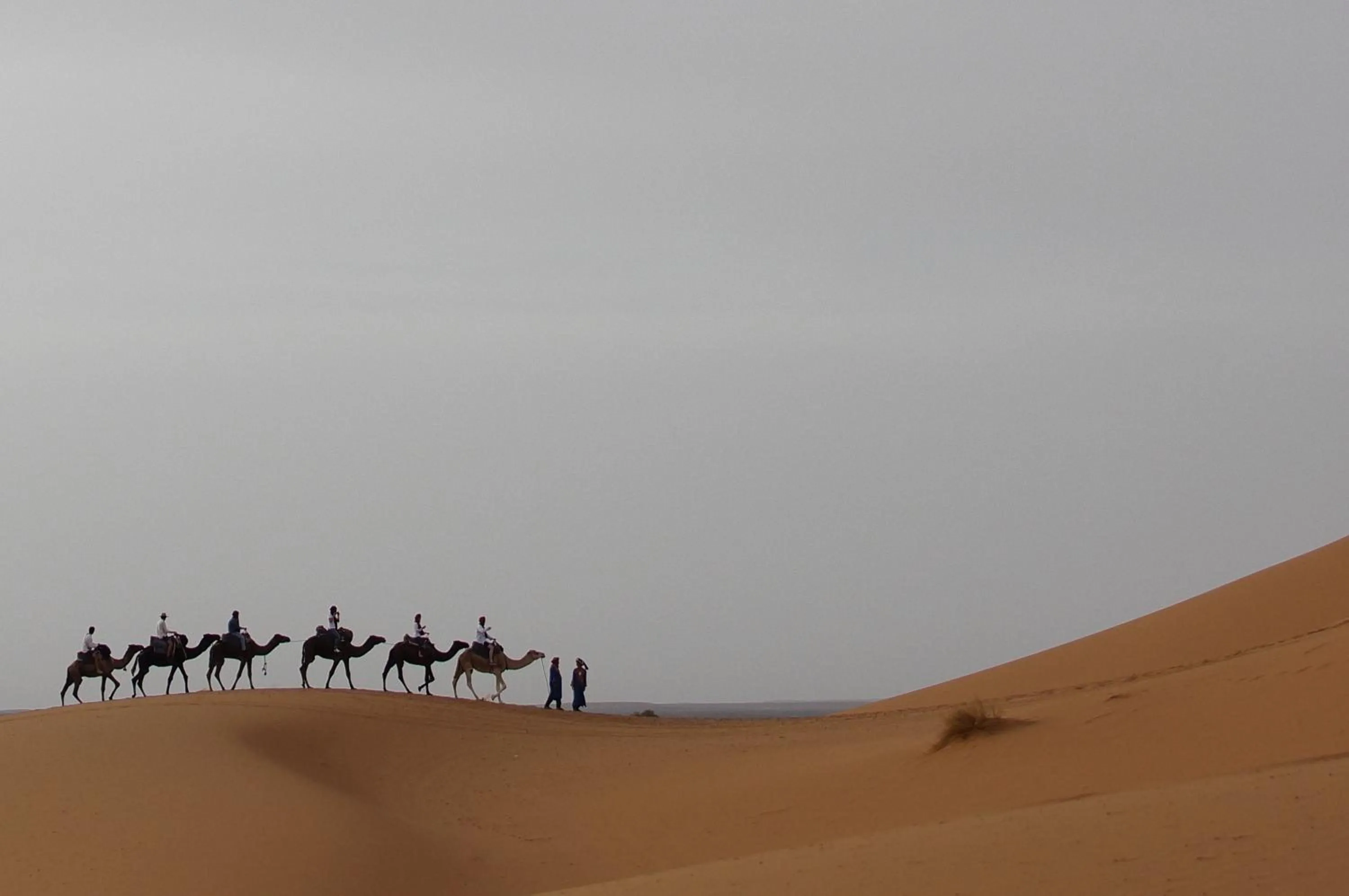 Natural landscape in Haven La Chance Desert Hotel