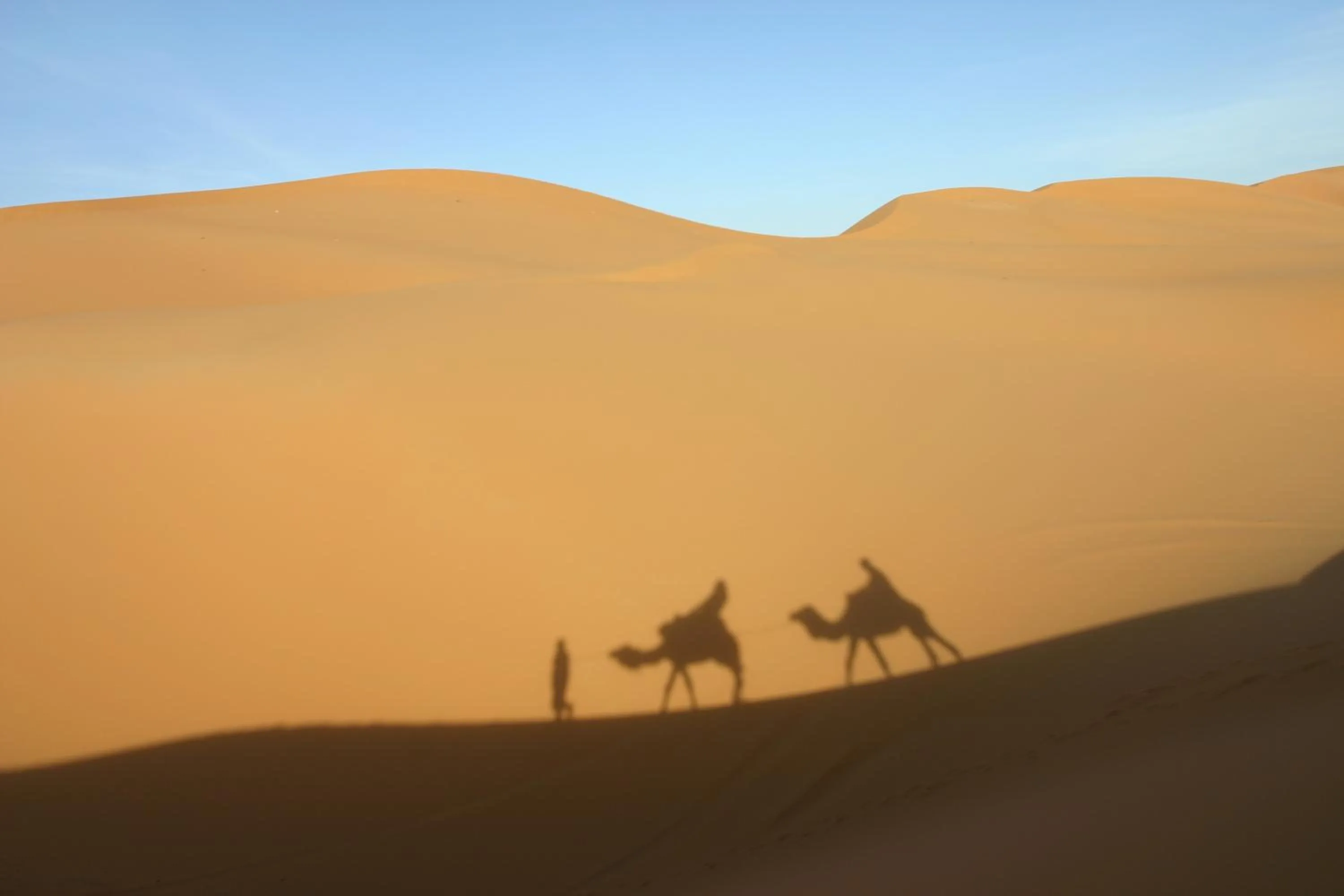 Natural landscape in Haven La Chance Desert Hotel