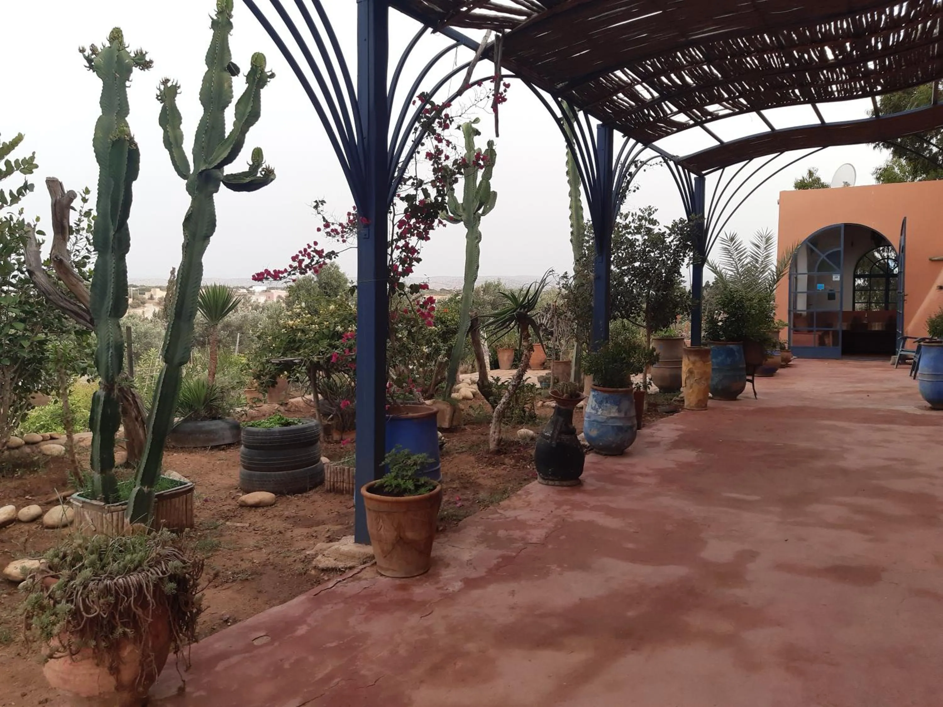 Facade/entrance in Riad Douar Des Oliviers