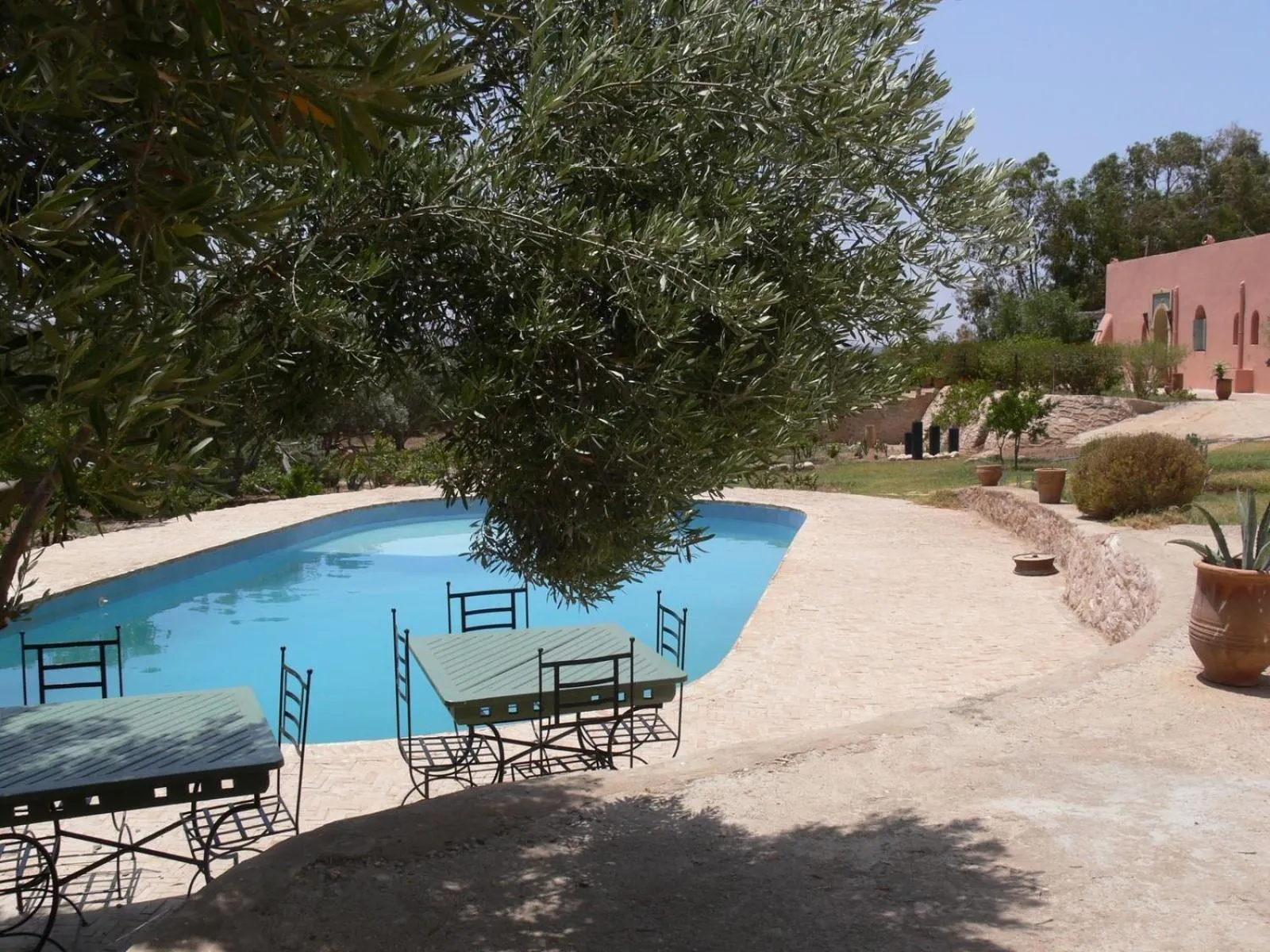 Pool view in Riad Douar Des Oliviers