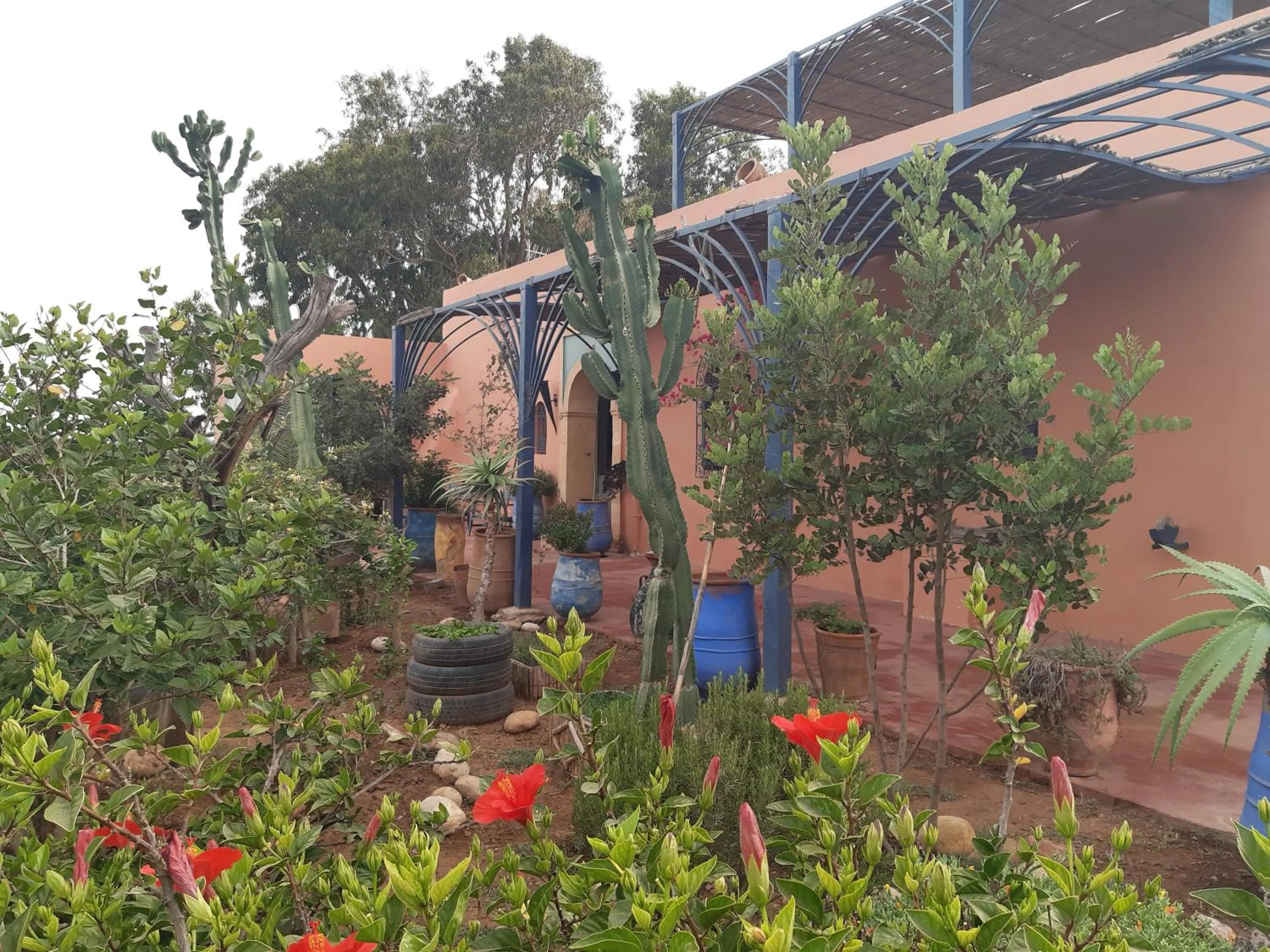 Facade/entrance in Riad Douar Des Oliviers