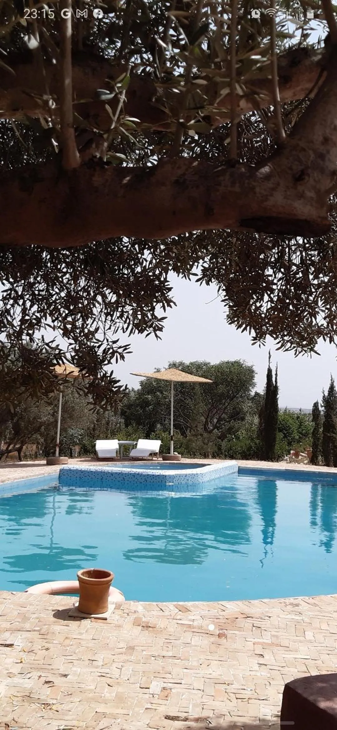 Swimming pool in Riad Douar Des Oliviers