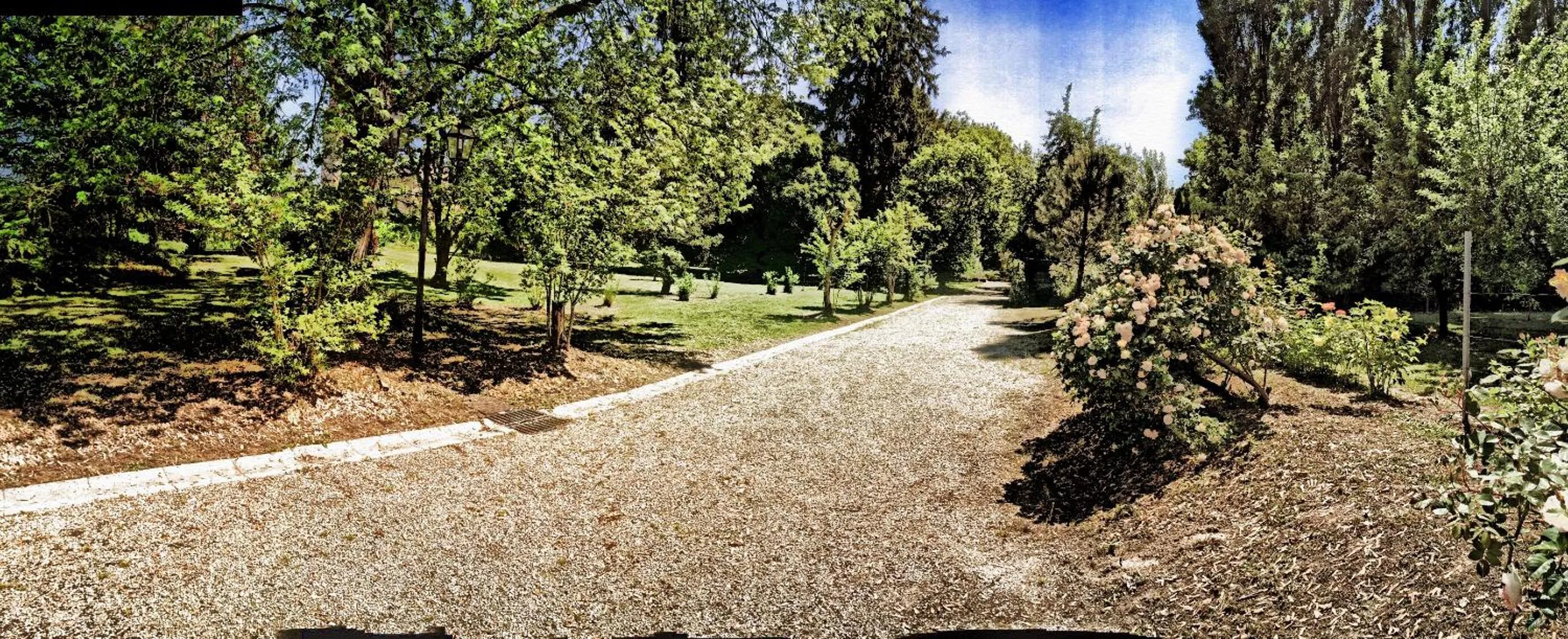 Garden in Ca' Marsure B&B