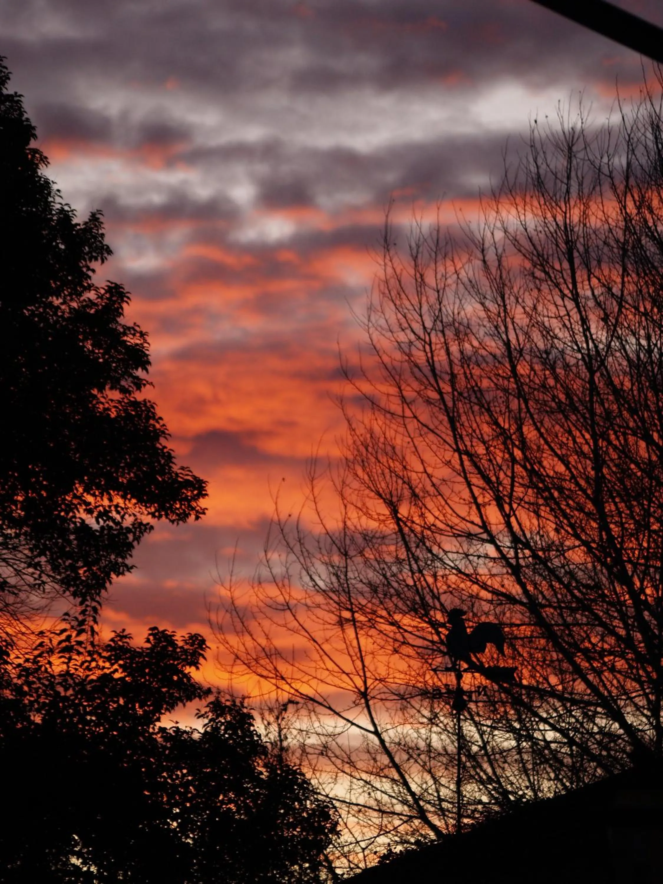 Decorative detail in Ca' Marsure B&B