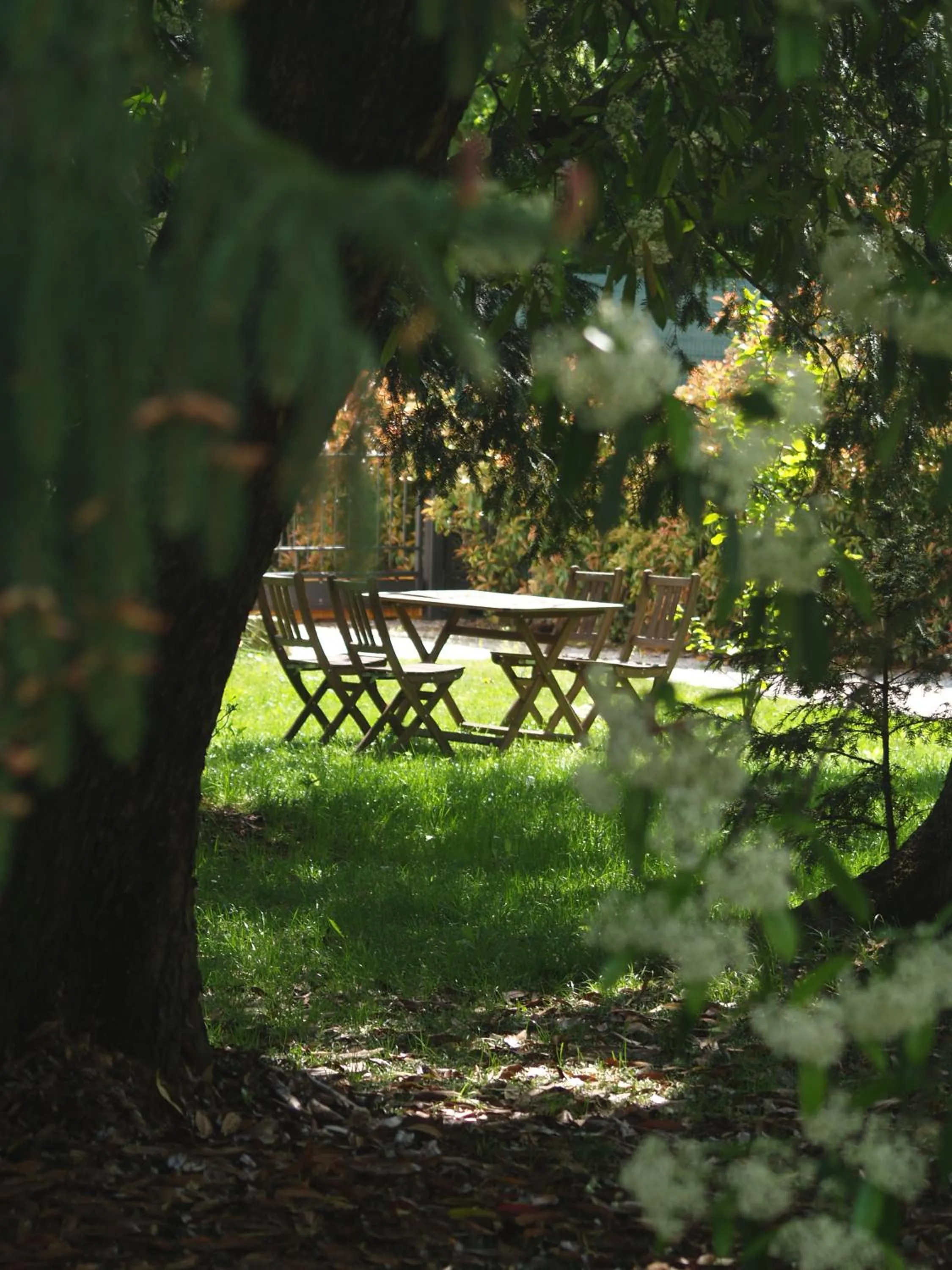 Garden in Ca' Marsure B&B