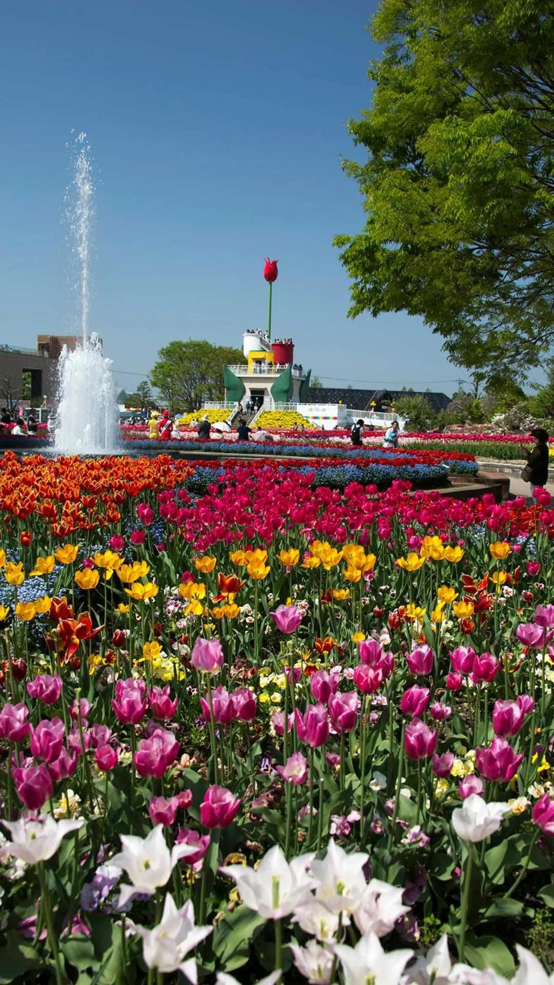 Nearby landmark in Maidohaya Fukutatei