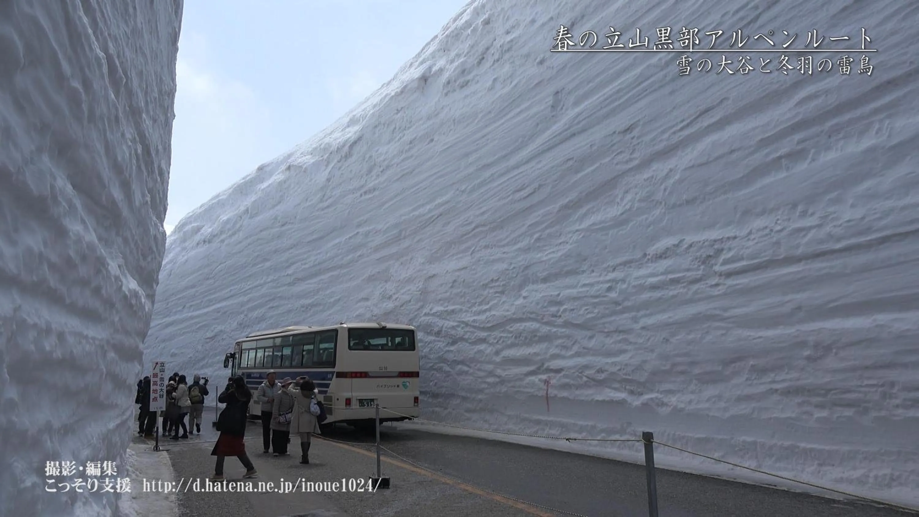 Spring in Maidohaya Fukutatei