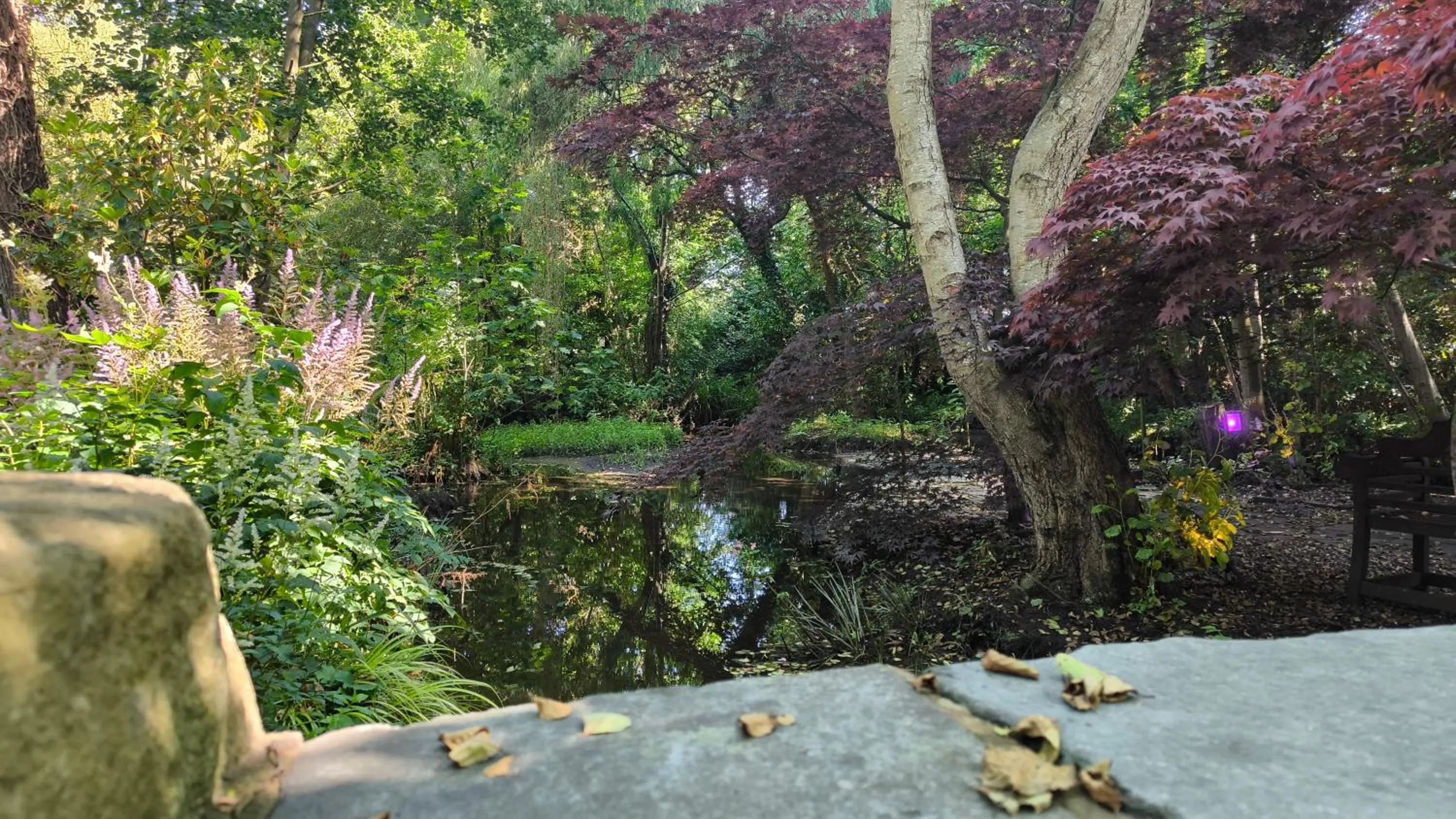 Natural landscape in Brook Hall Hotel