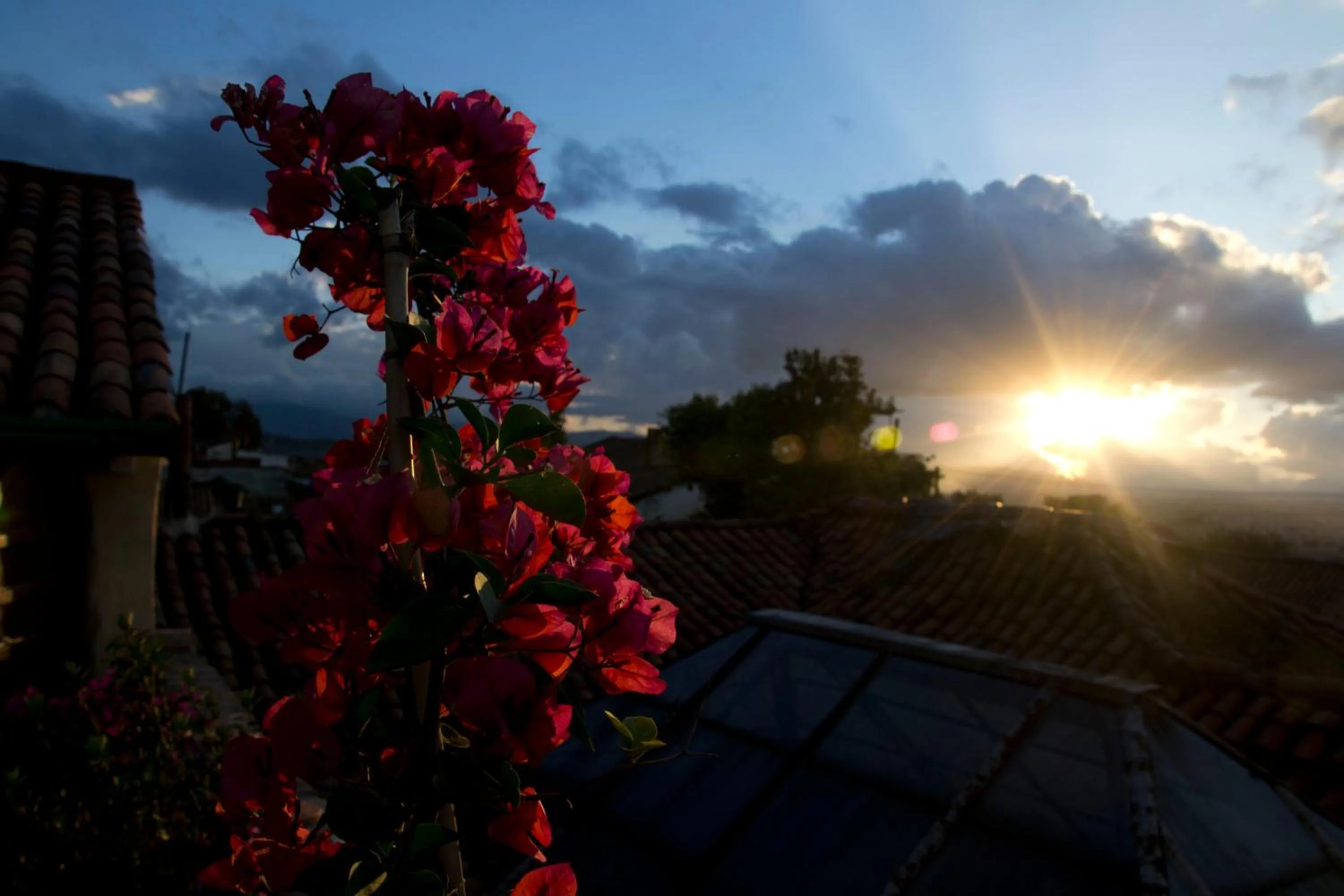 Balcony/Terrace in Hotel Muisca