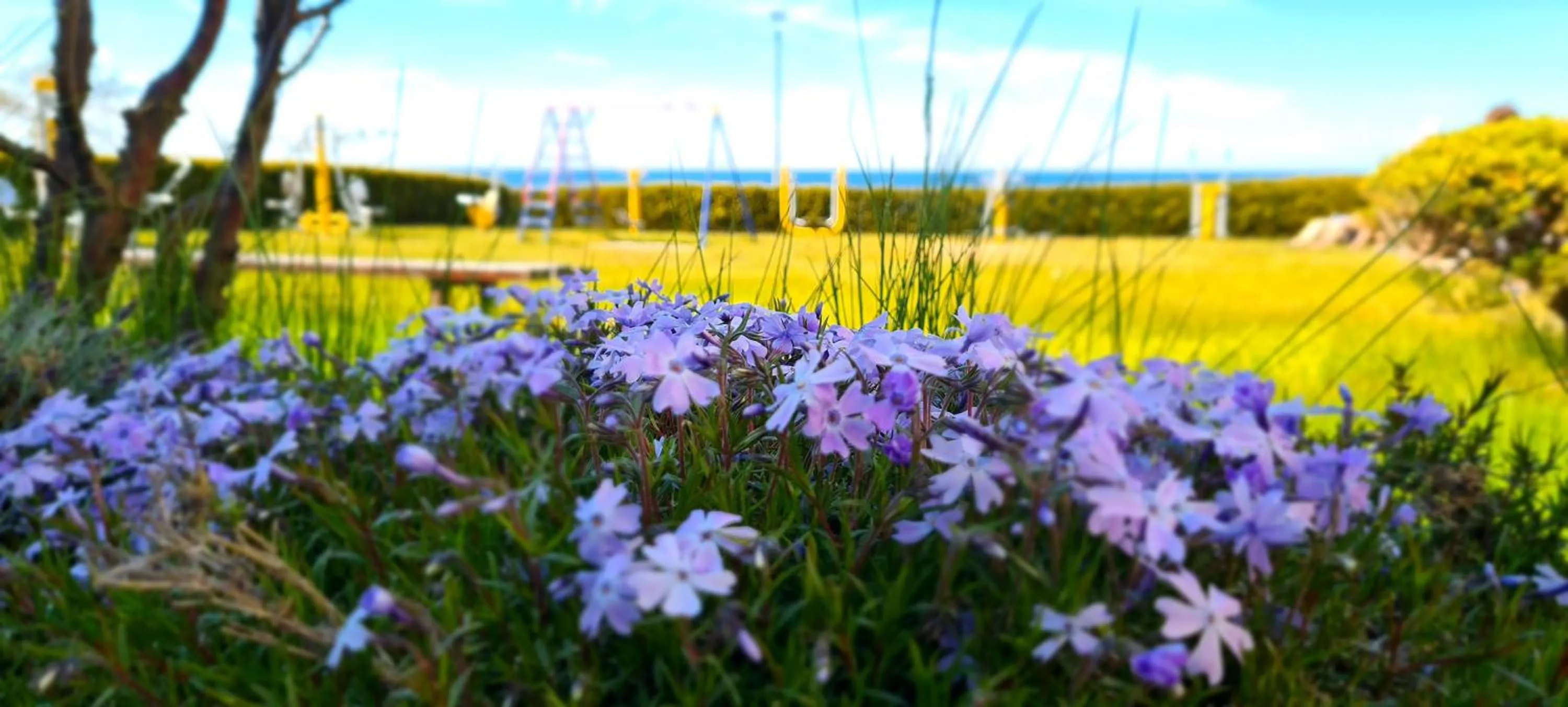 Garden view in OW Gwarek