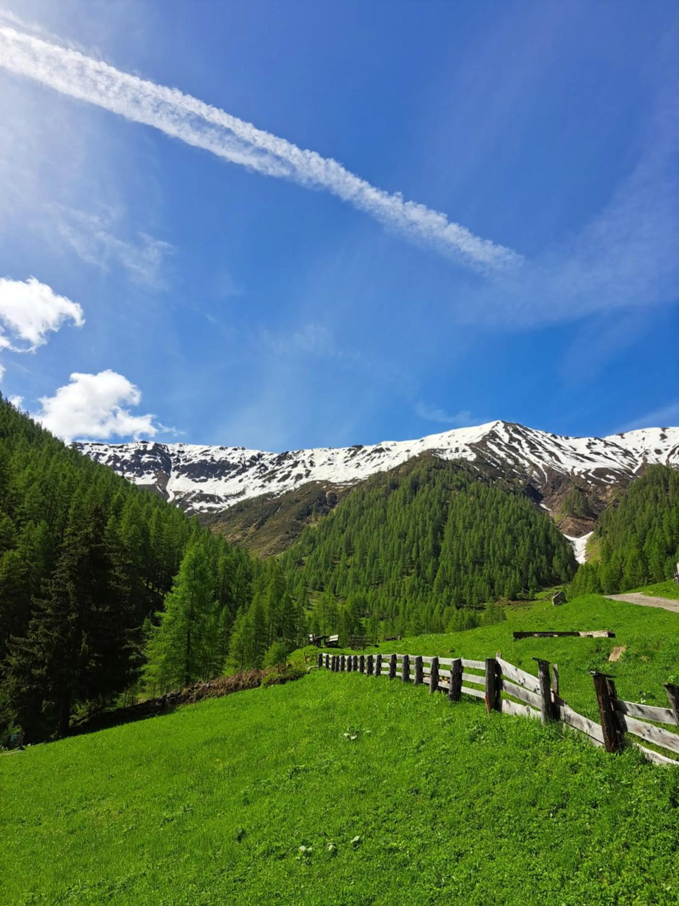 Maxerhütte auf der Alfenalm