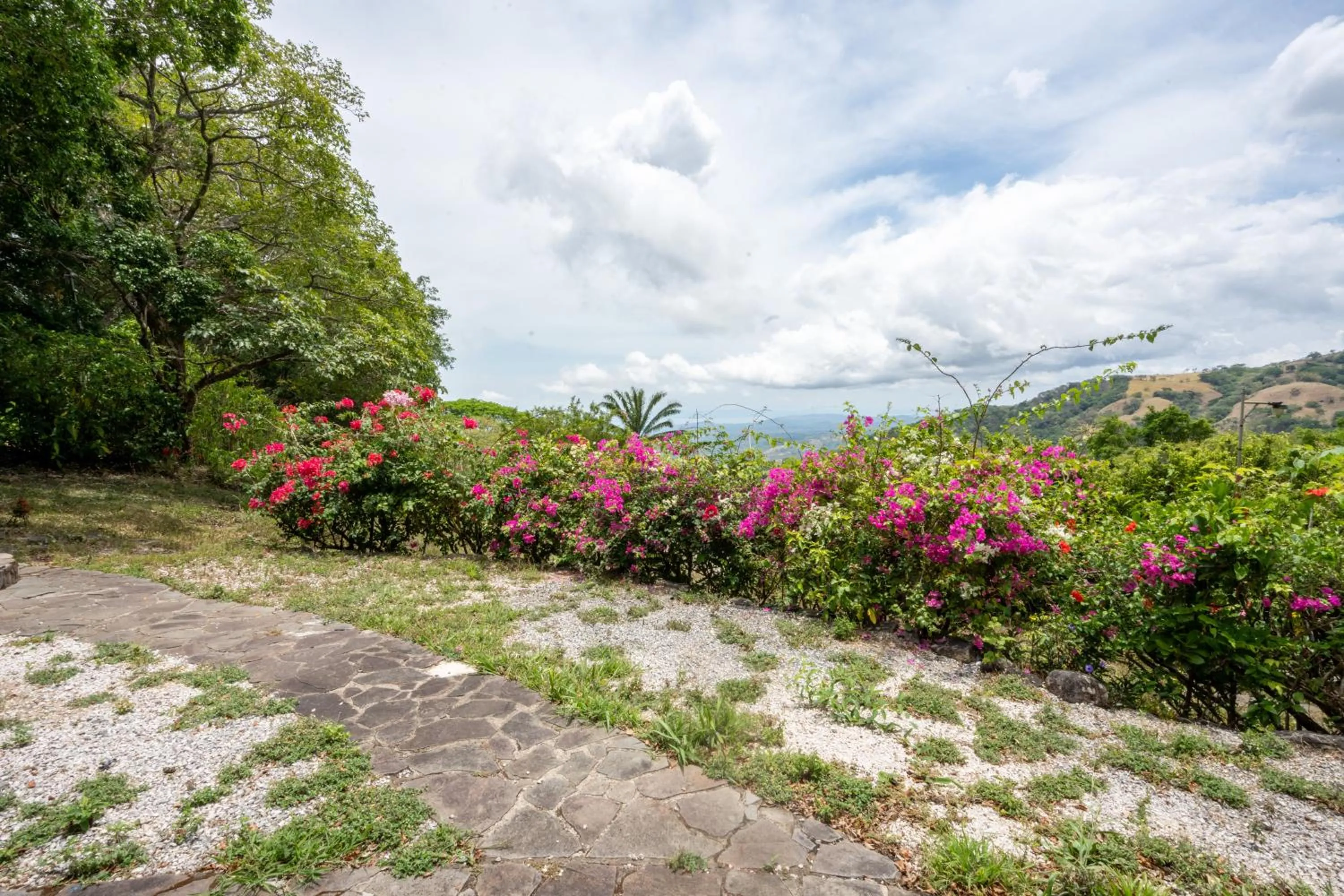 View (from property/room) in Adventure Park & Hotel Vista Golfo