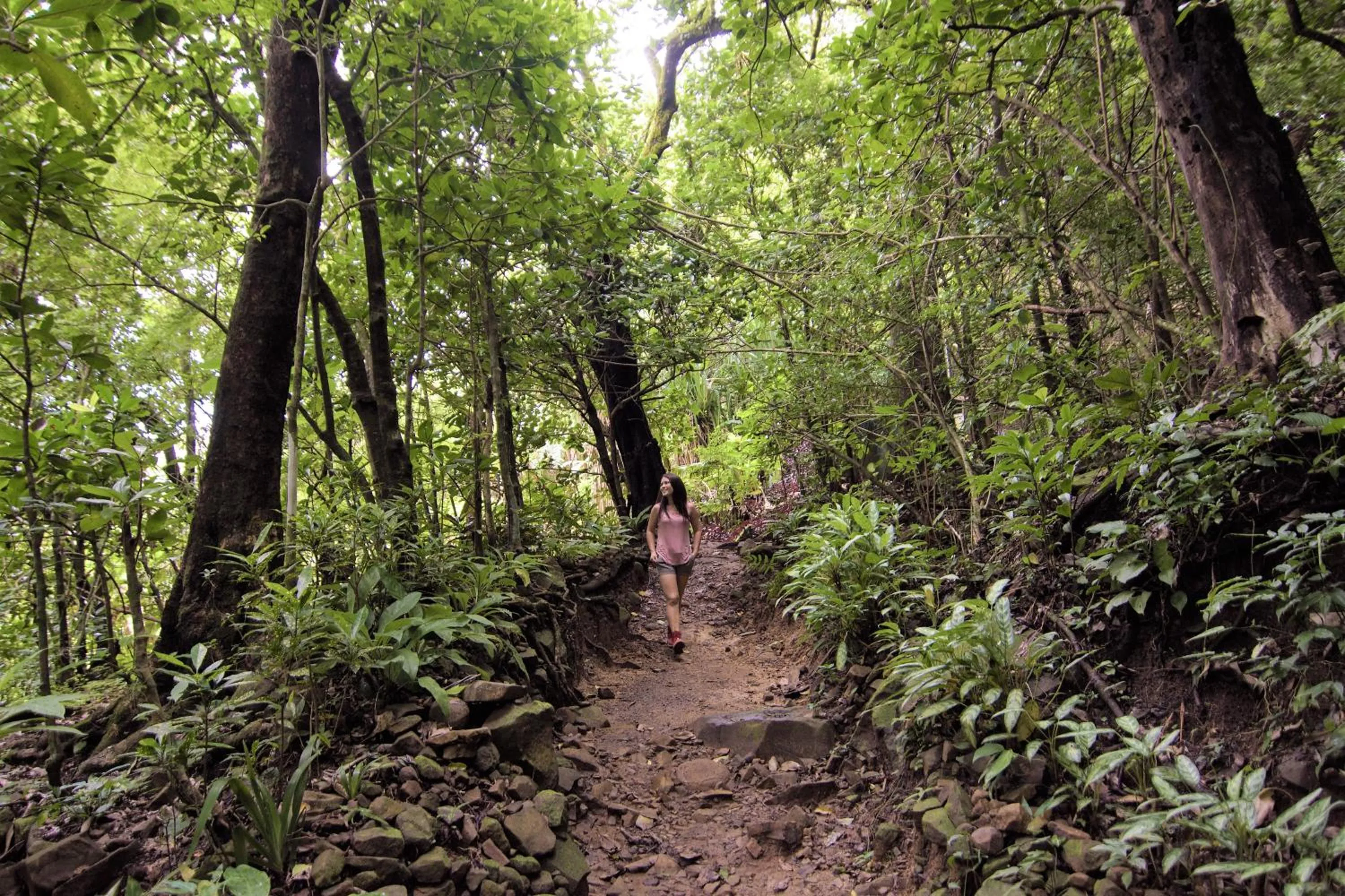 Natural landscape in Adventure Park & Hotel Vista Golfo