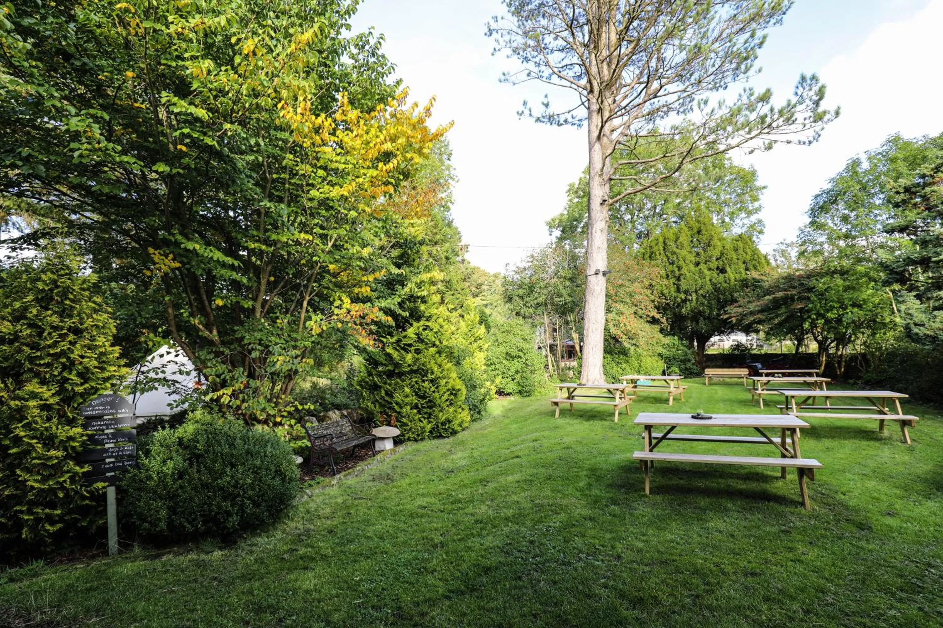 Garden in The Black Swan