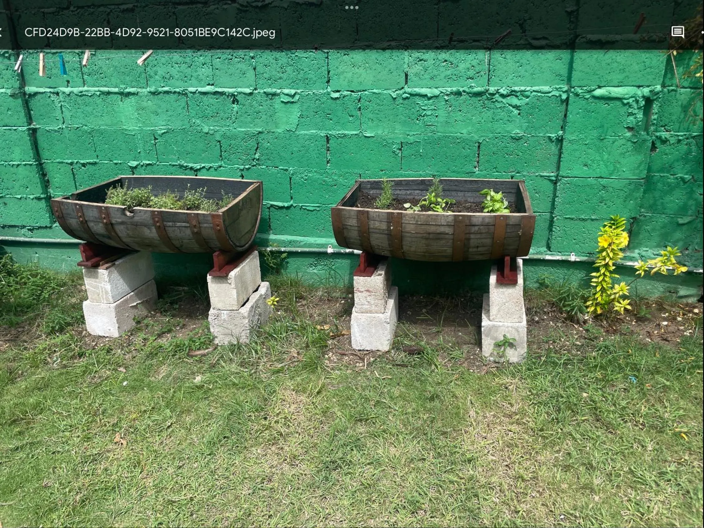 Garden in The Monteray Hotel
