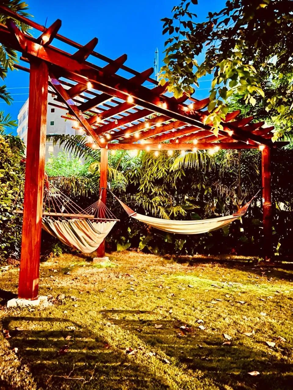 Garden in The Monteray Hotel