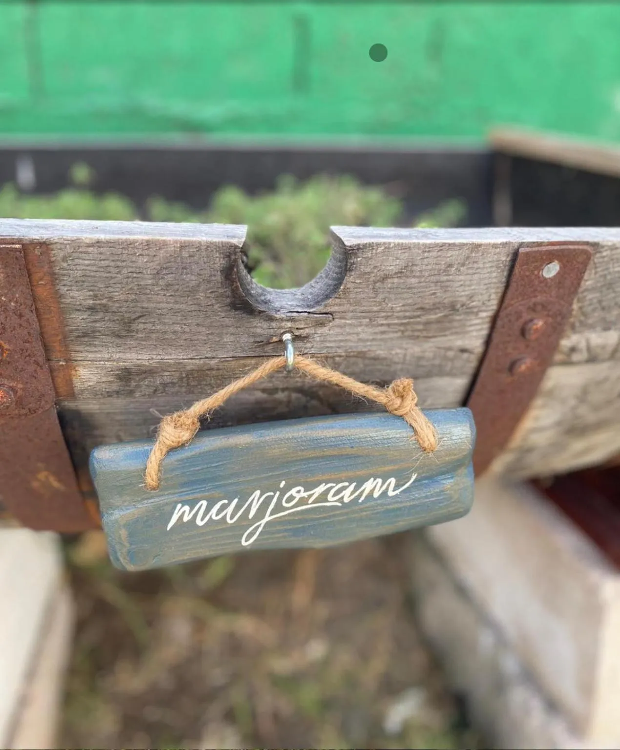 Garden in The Monteray Hotel