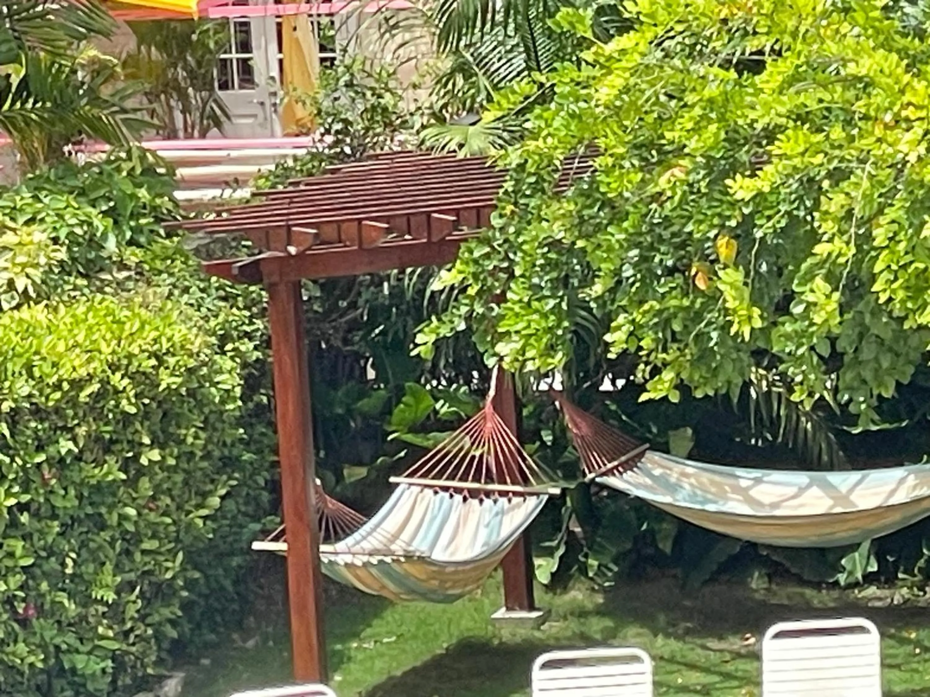 Natural landscape in The Monteray Hotel