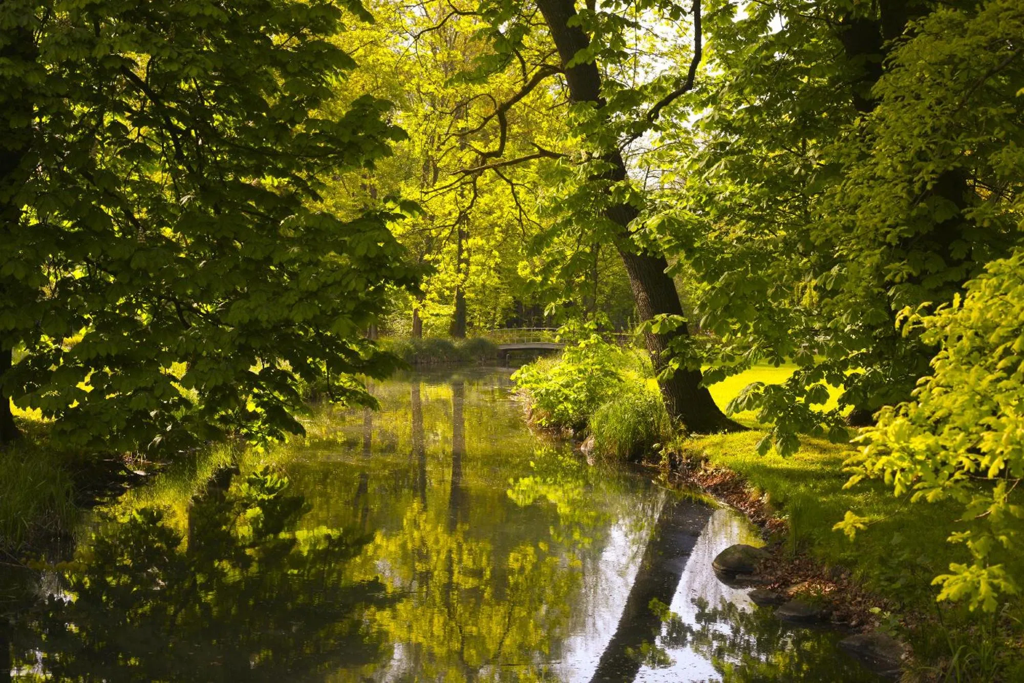 Garden in Urlaubsresidenz Marstall und Kanzlei im Schlossensemble