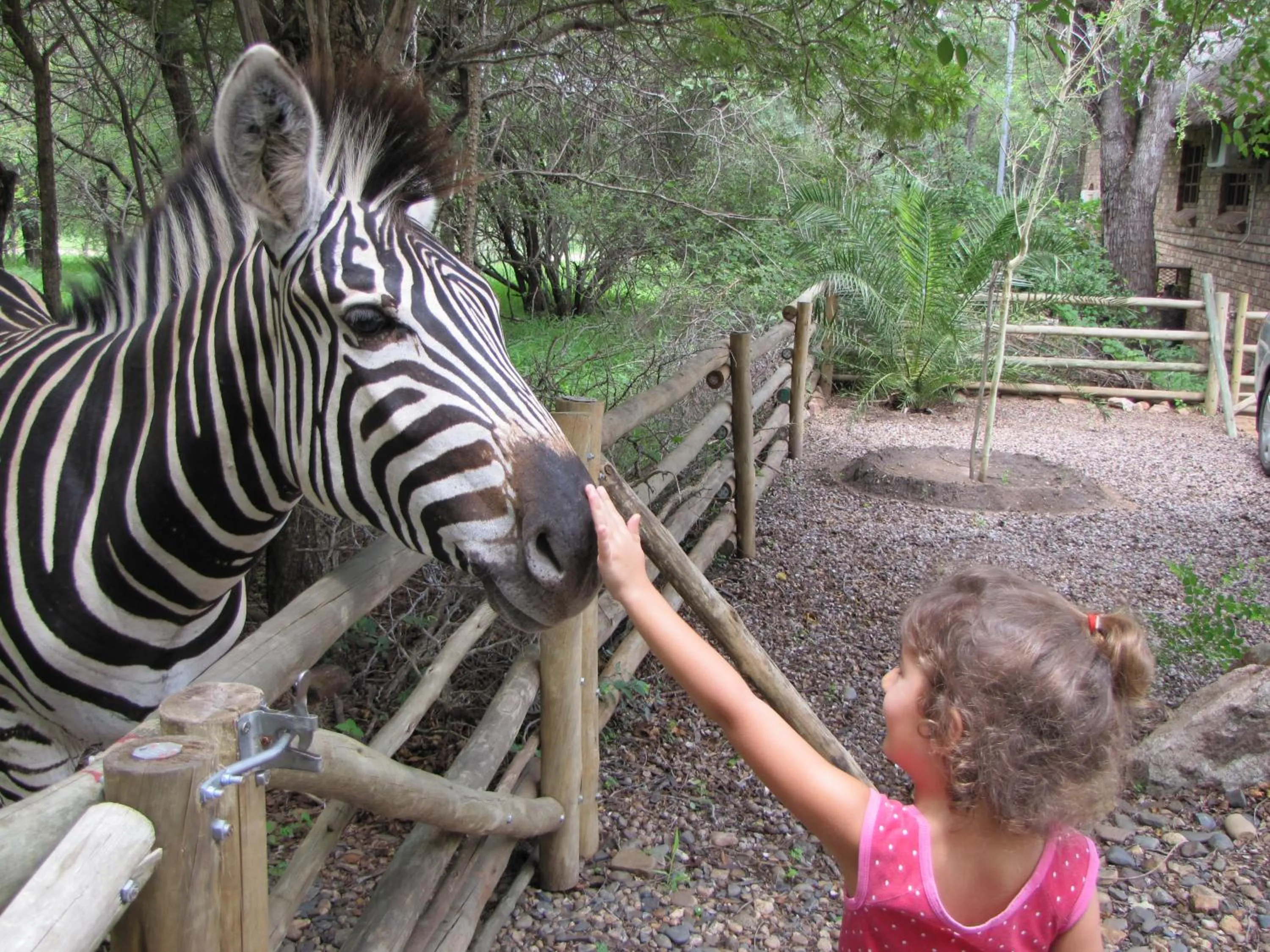 Animals in SERENITY Du Bois Lodge