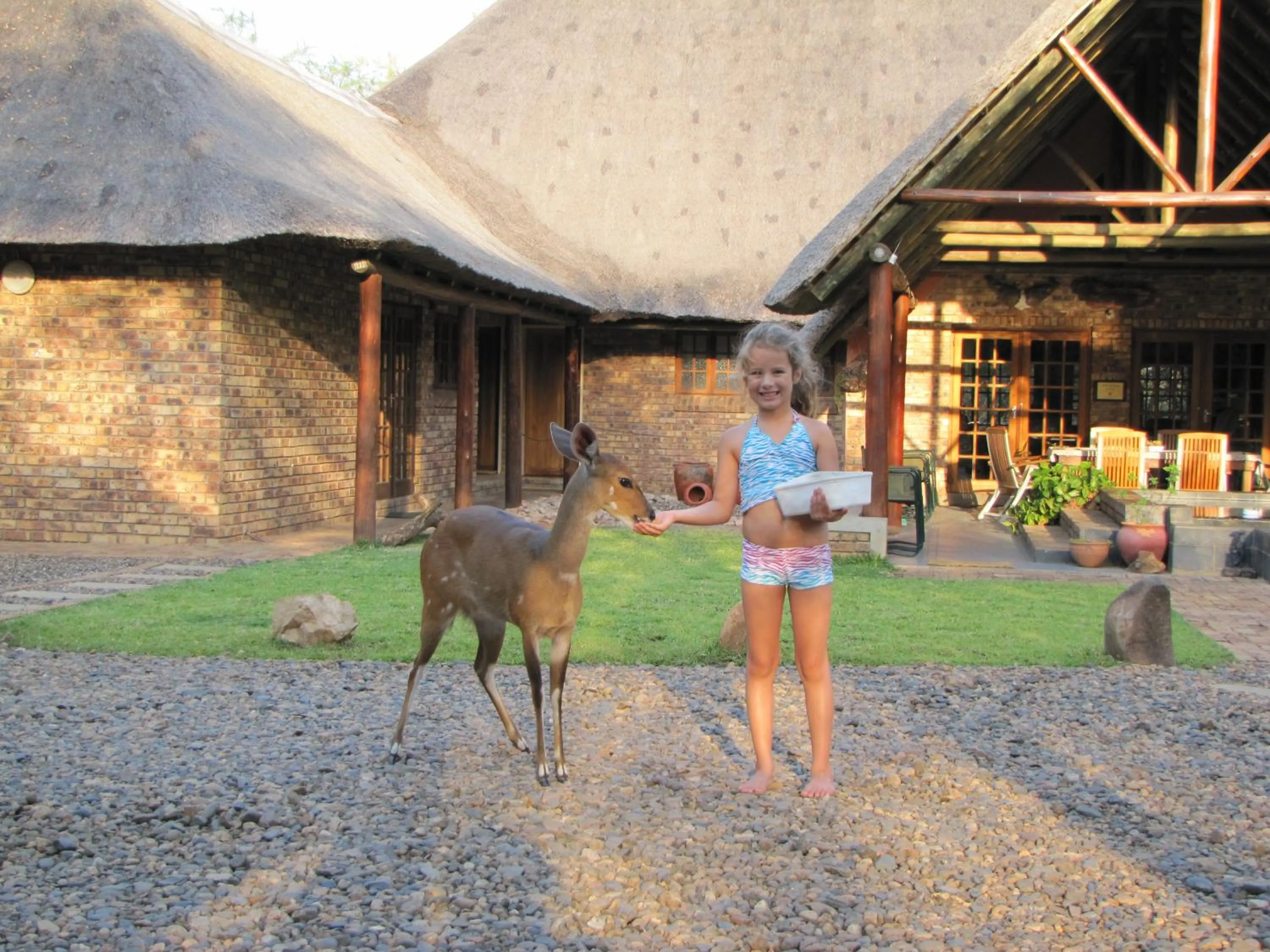 Animals in SERENITY Du Bois Lodge