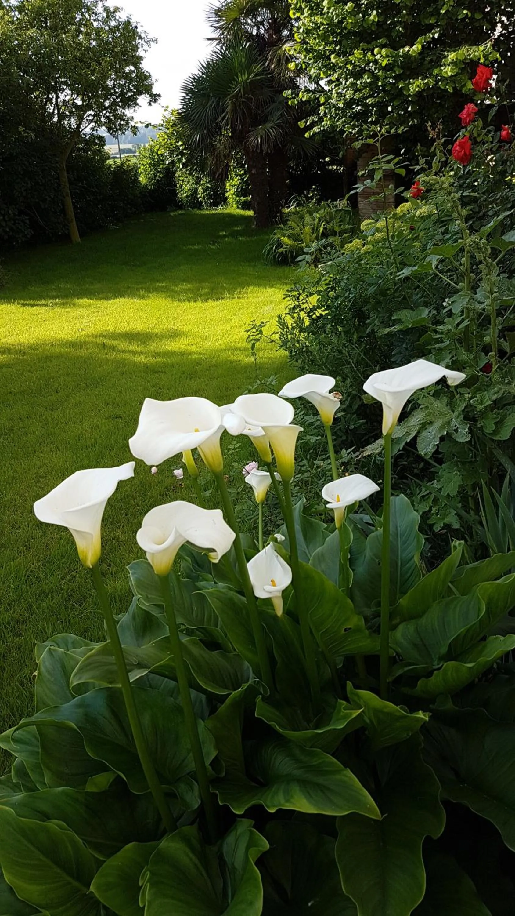 Chambre d'hôtes Liz'A