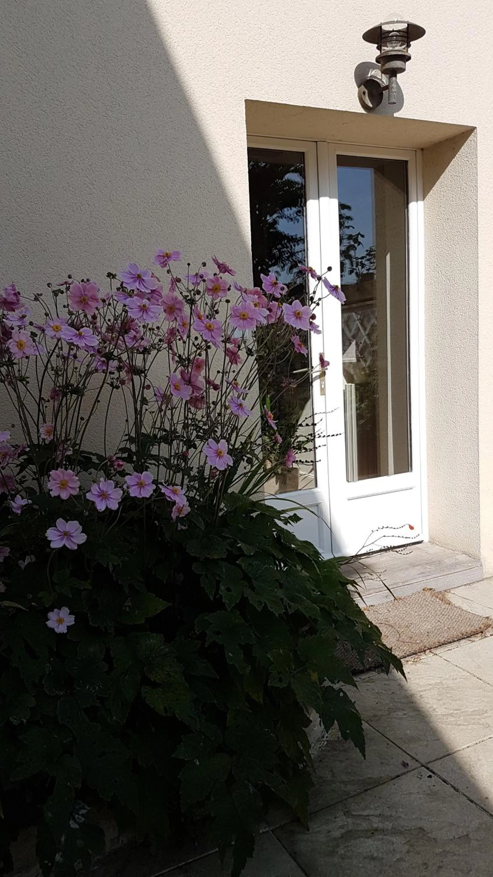 Chambre d'hôtes Liz'A