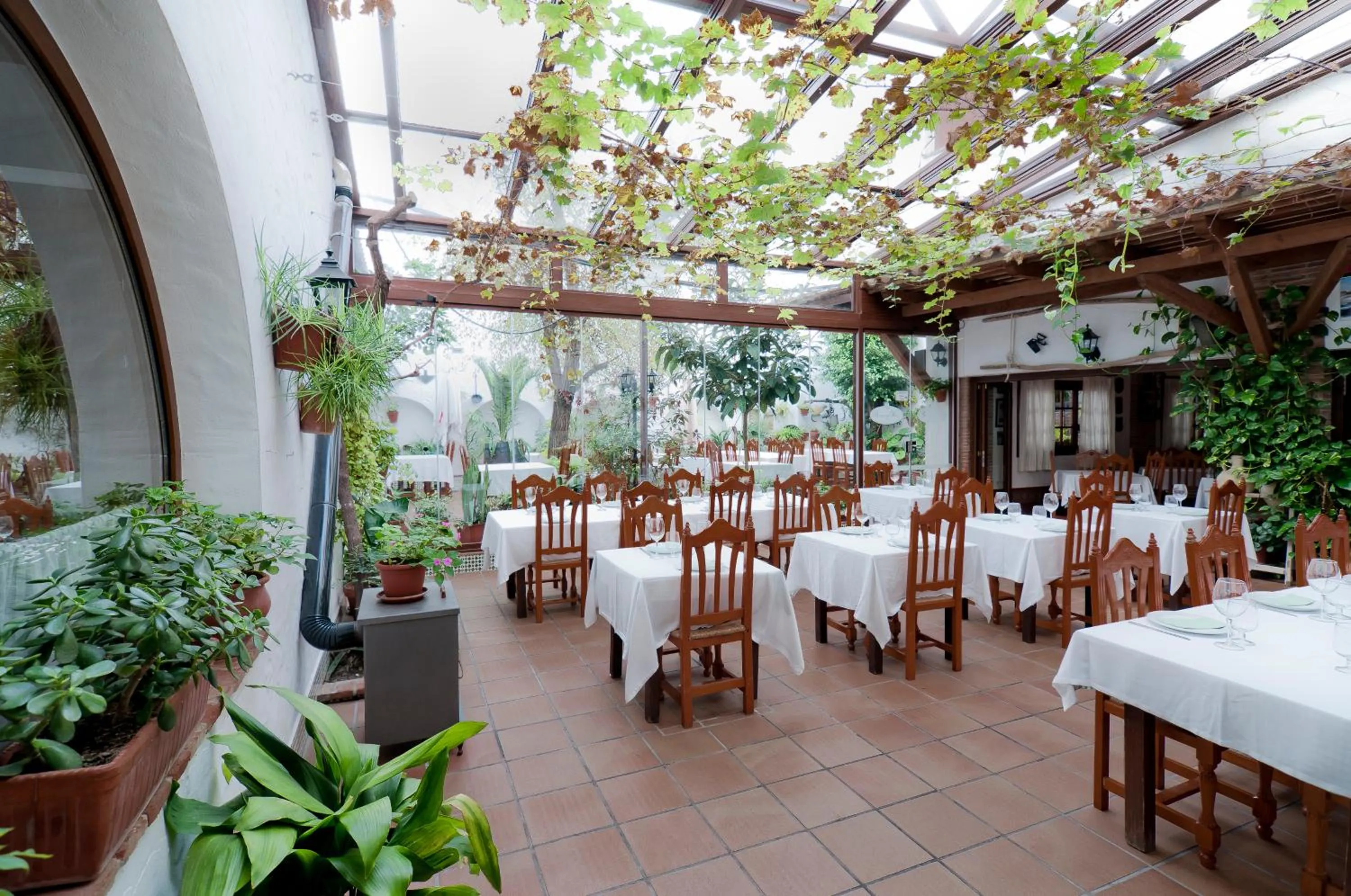 Patio in Hotel Restaurante Blanco y Verde