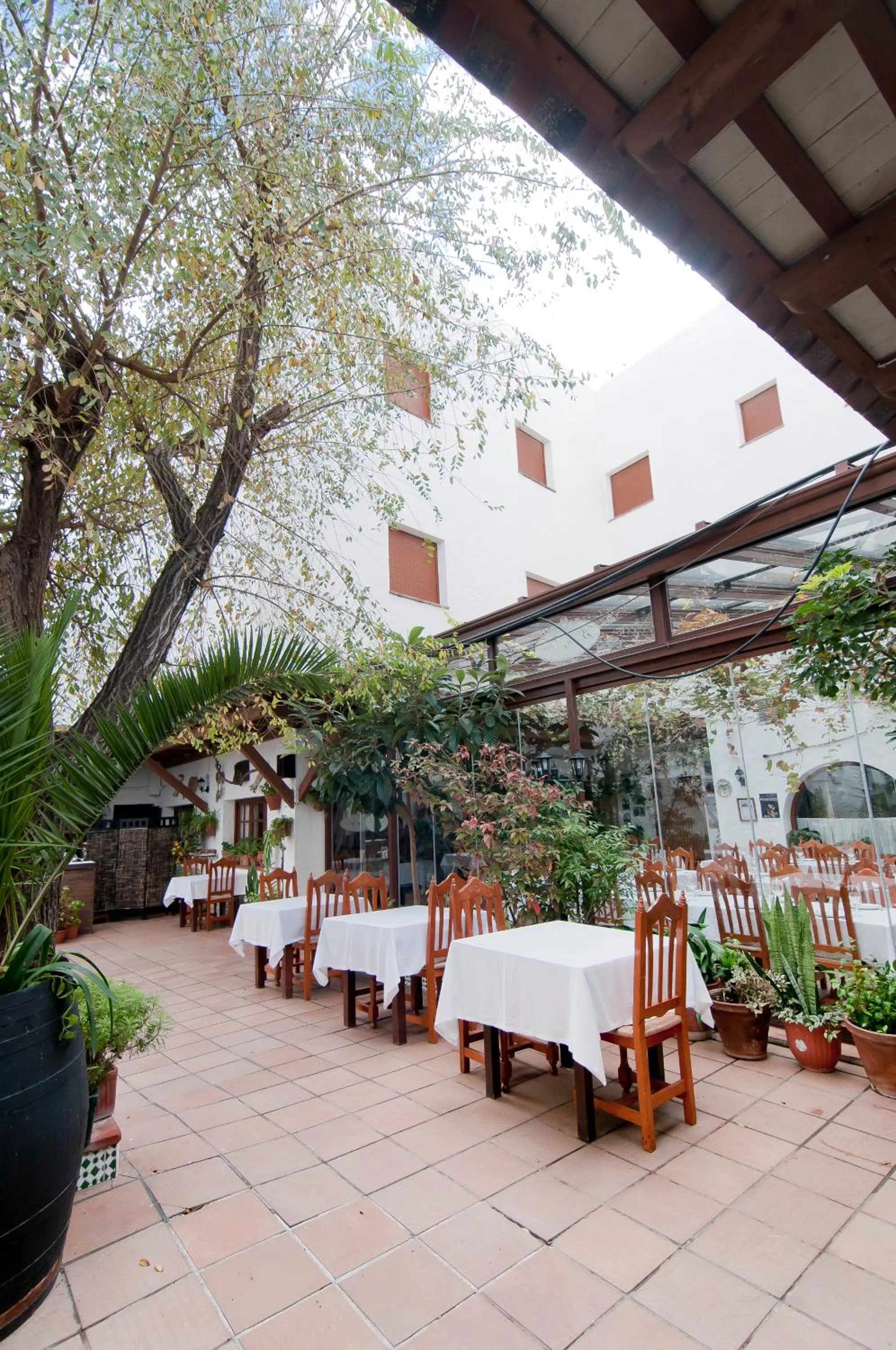 Patio in Hotel Restaurante Blanco y Verde