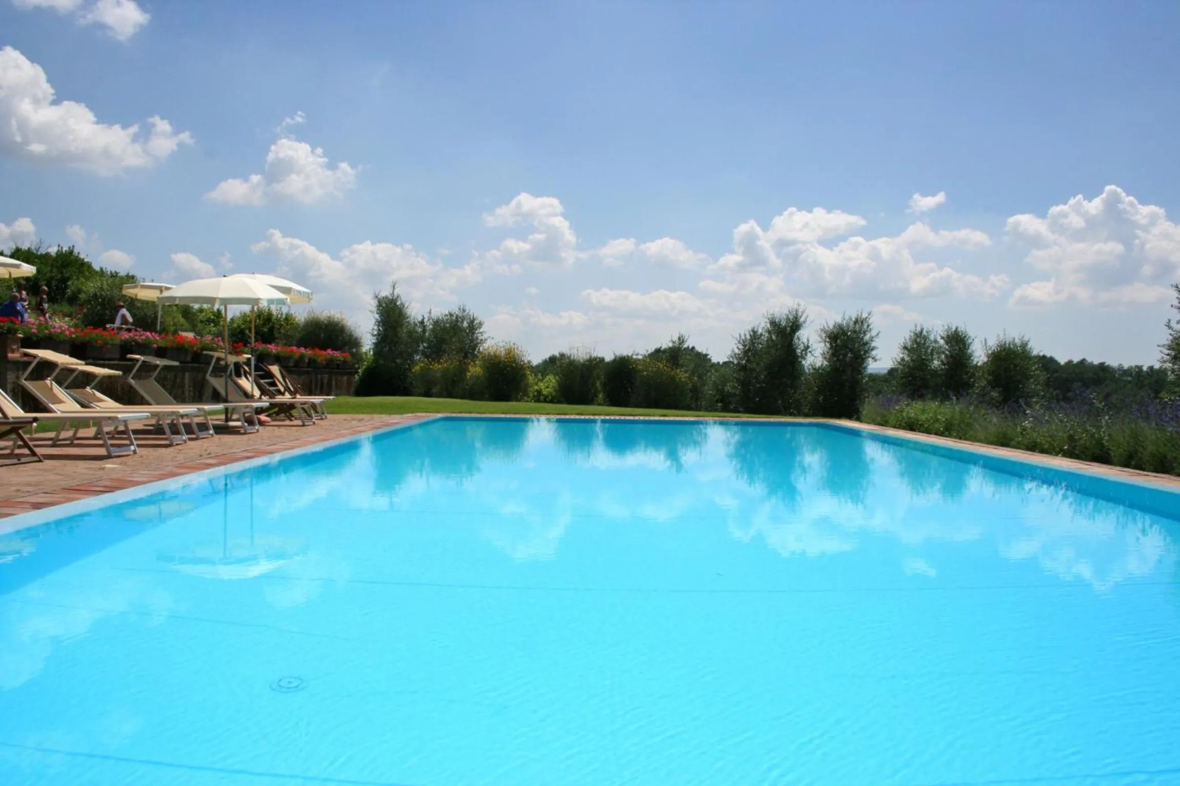 Day in Podere Il Pino