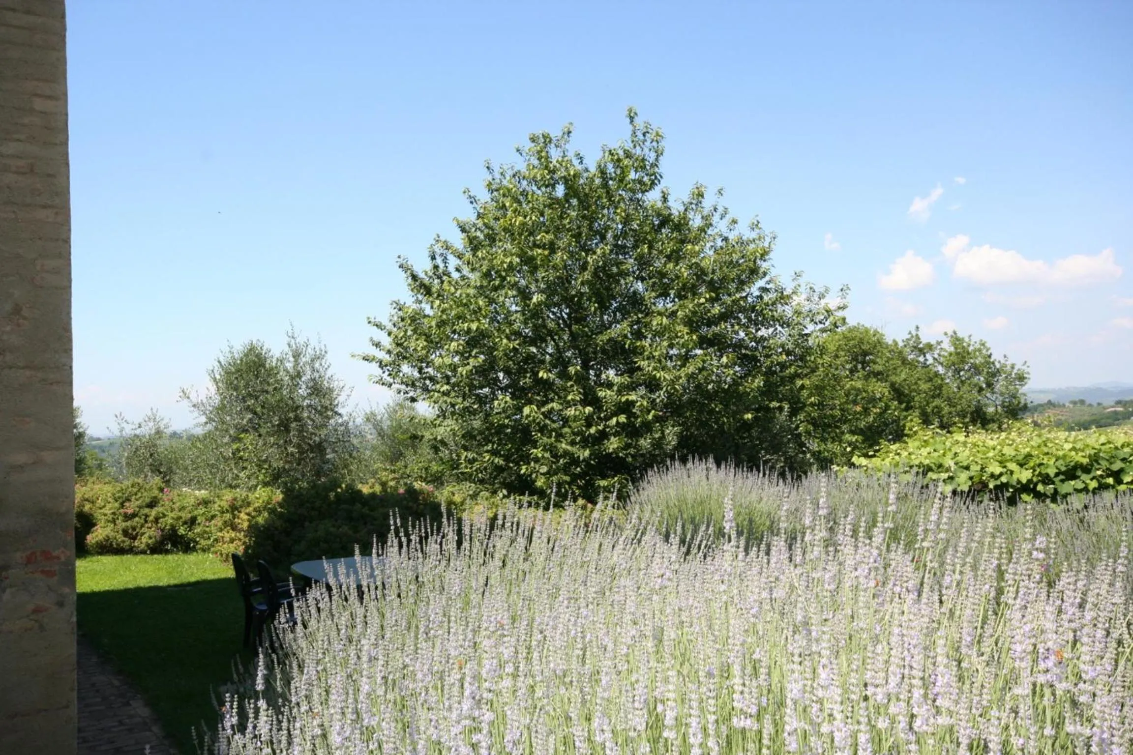 Spring in Podere Il Pino