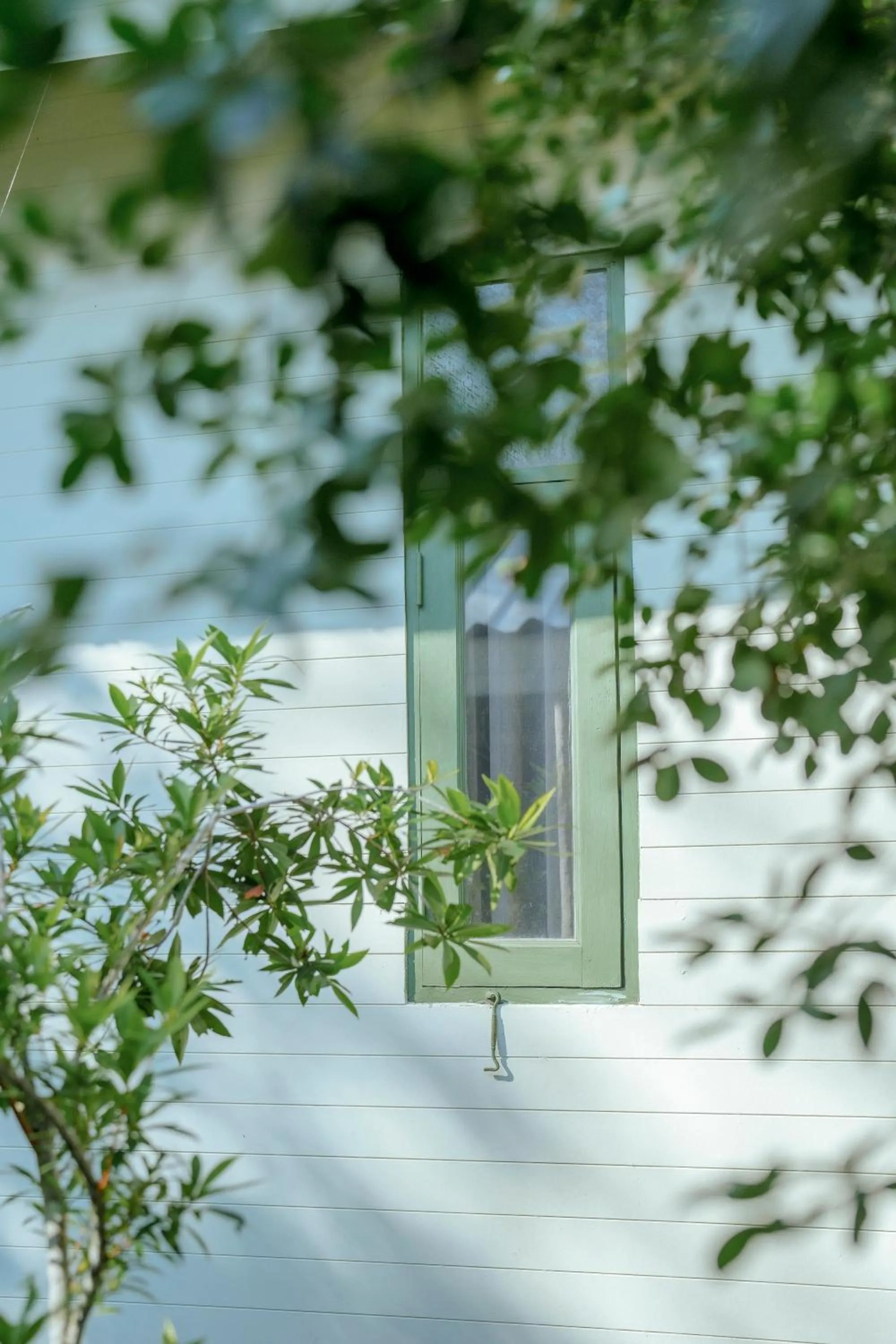 View (from property/room) in Perennial Resort