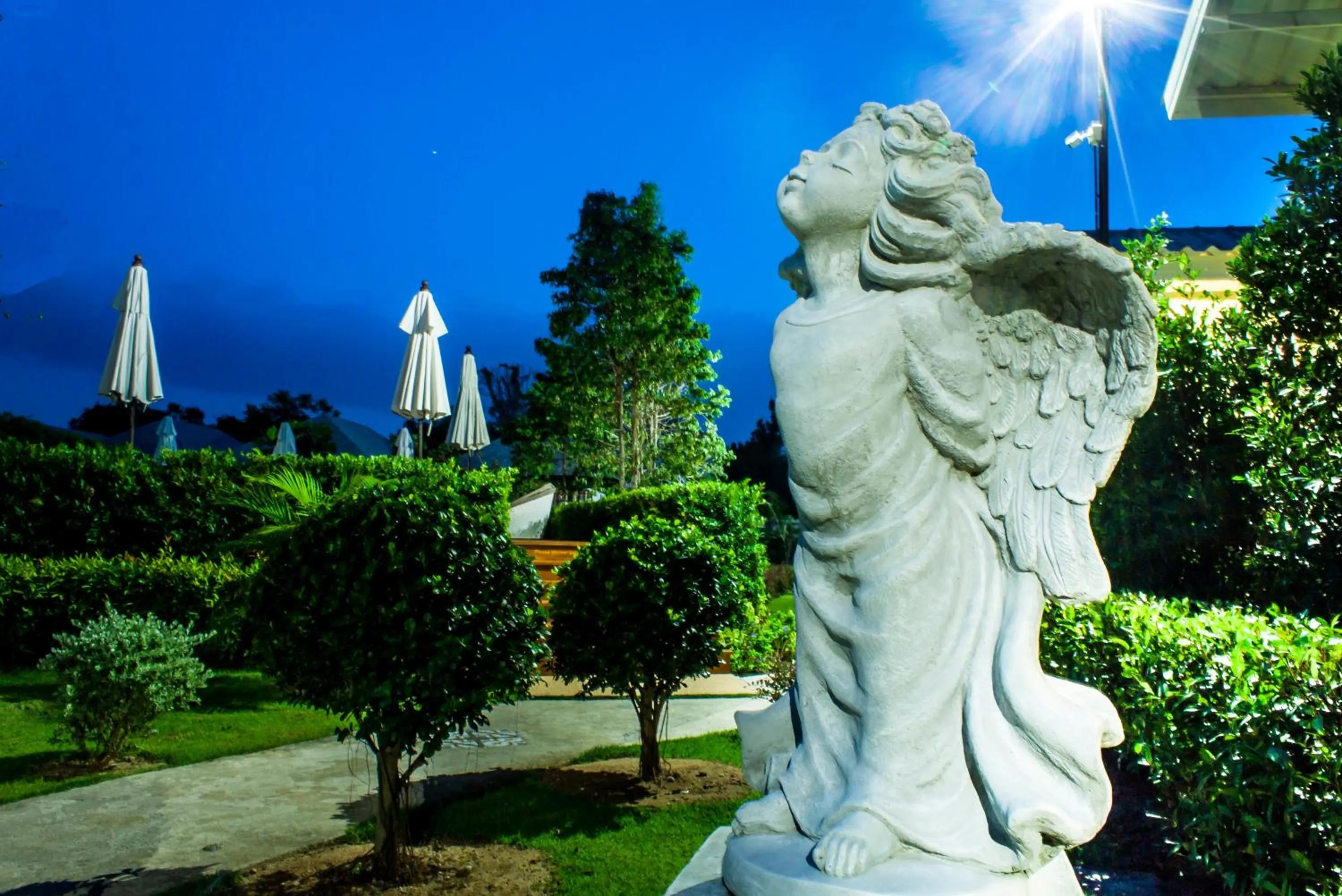 Garden in Perennial Resort