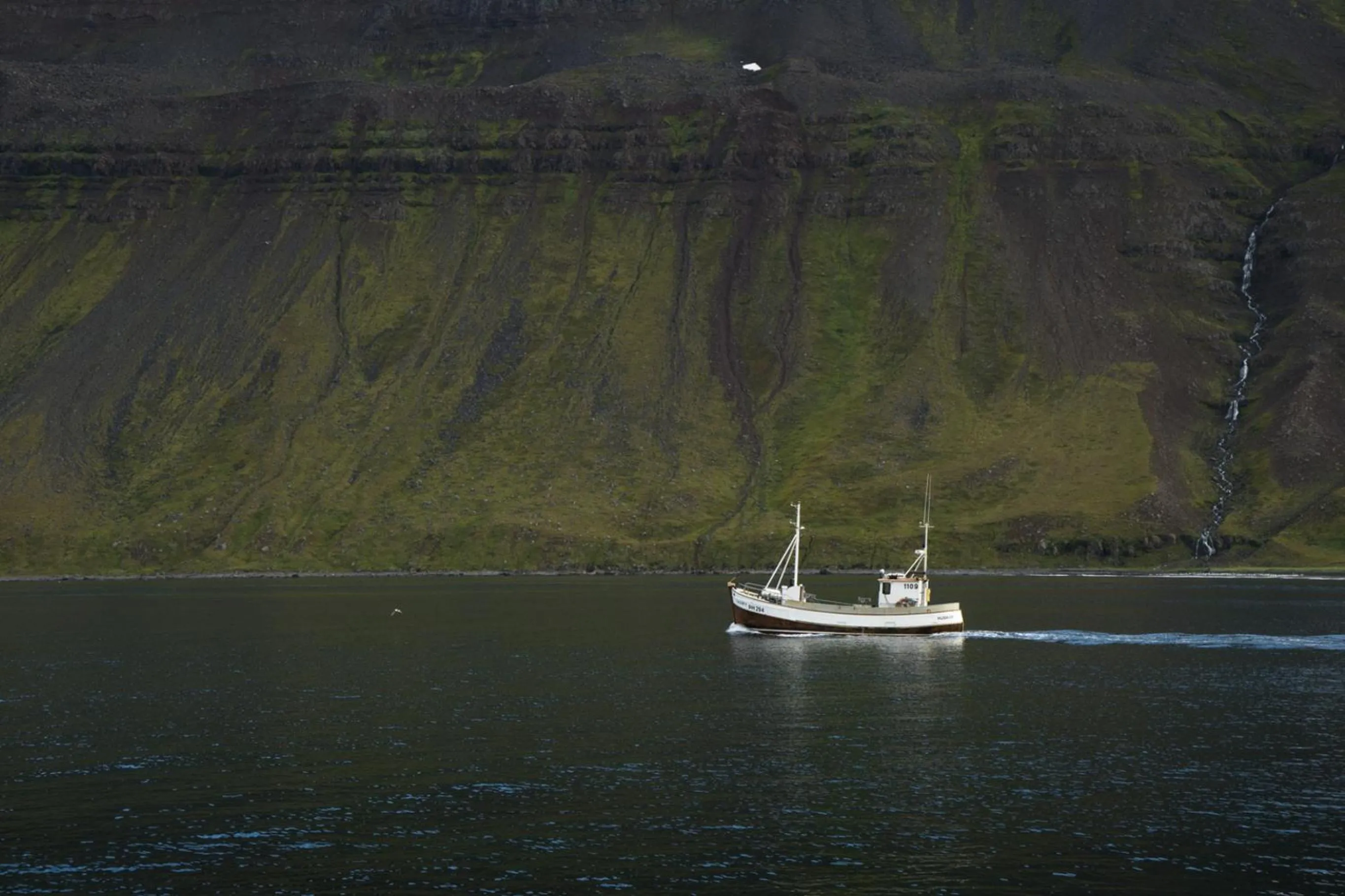 Day in Fisherman Guesthouse Sudureyri
