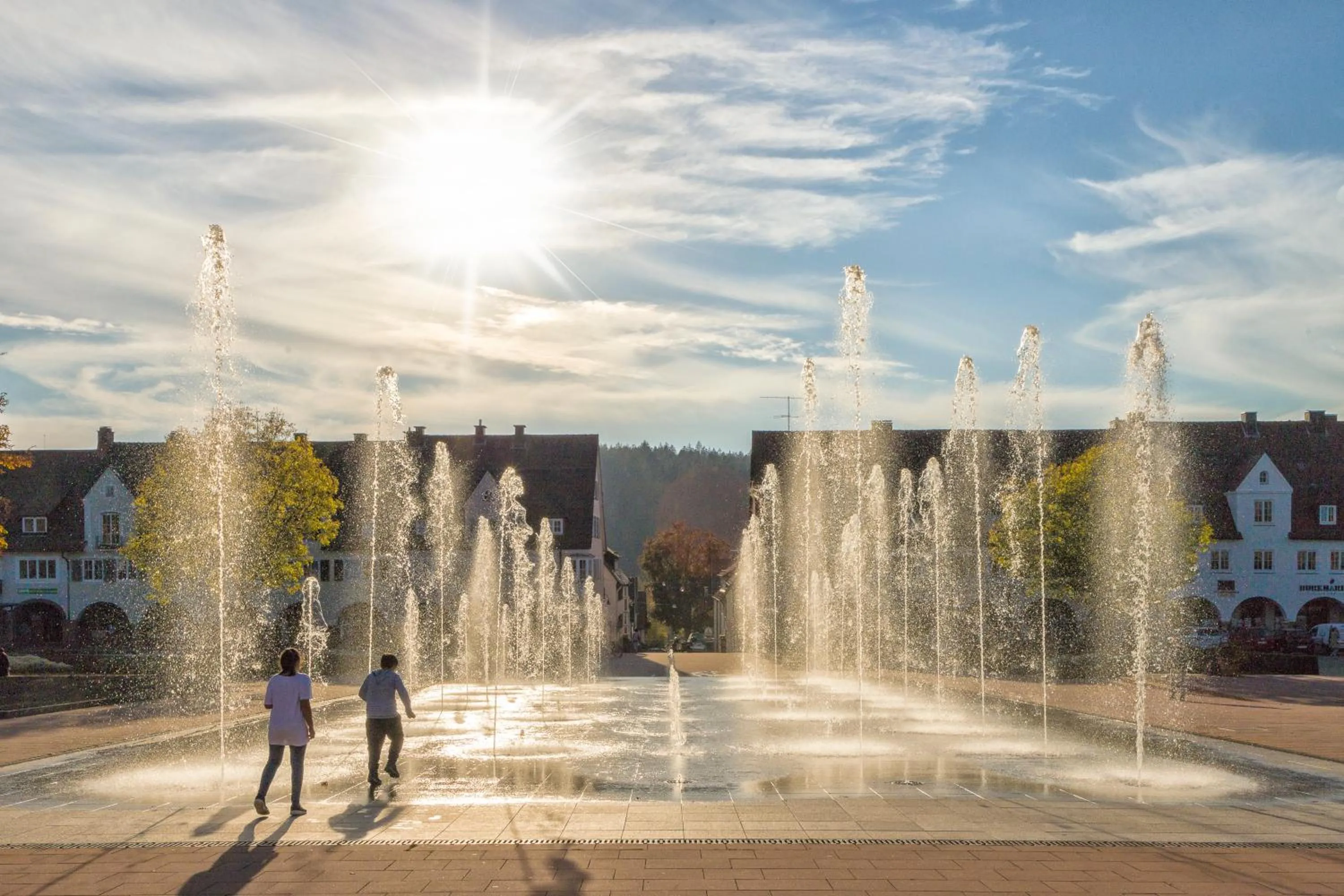 Area and facilities in Hotel Lauterbad