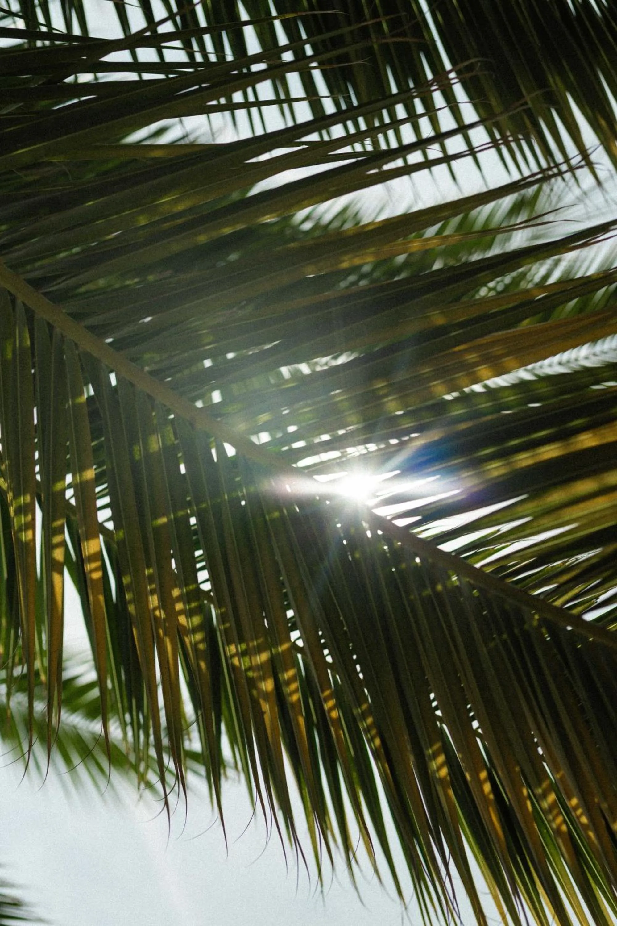 Day in Hotel Verlaine