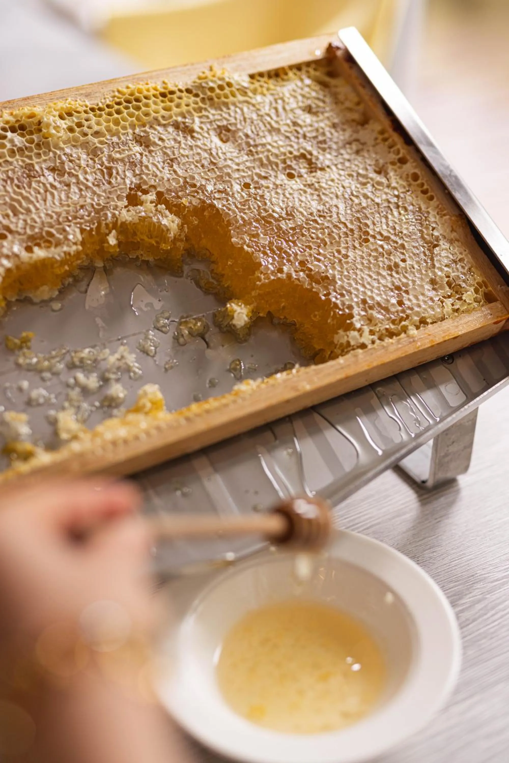Breakfast in Hotel Verlaine