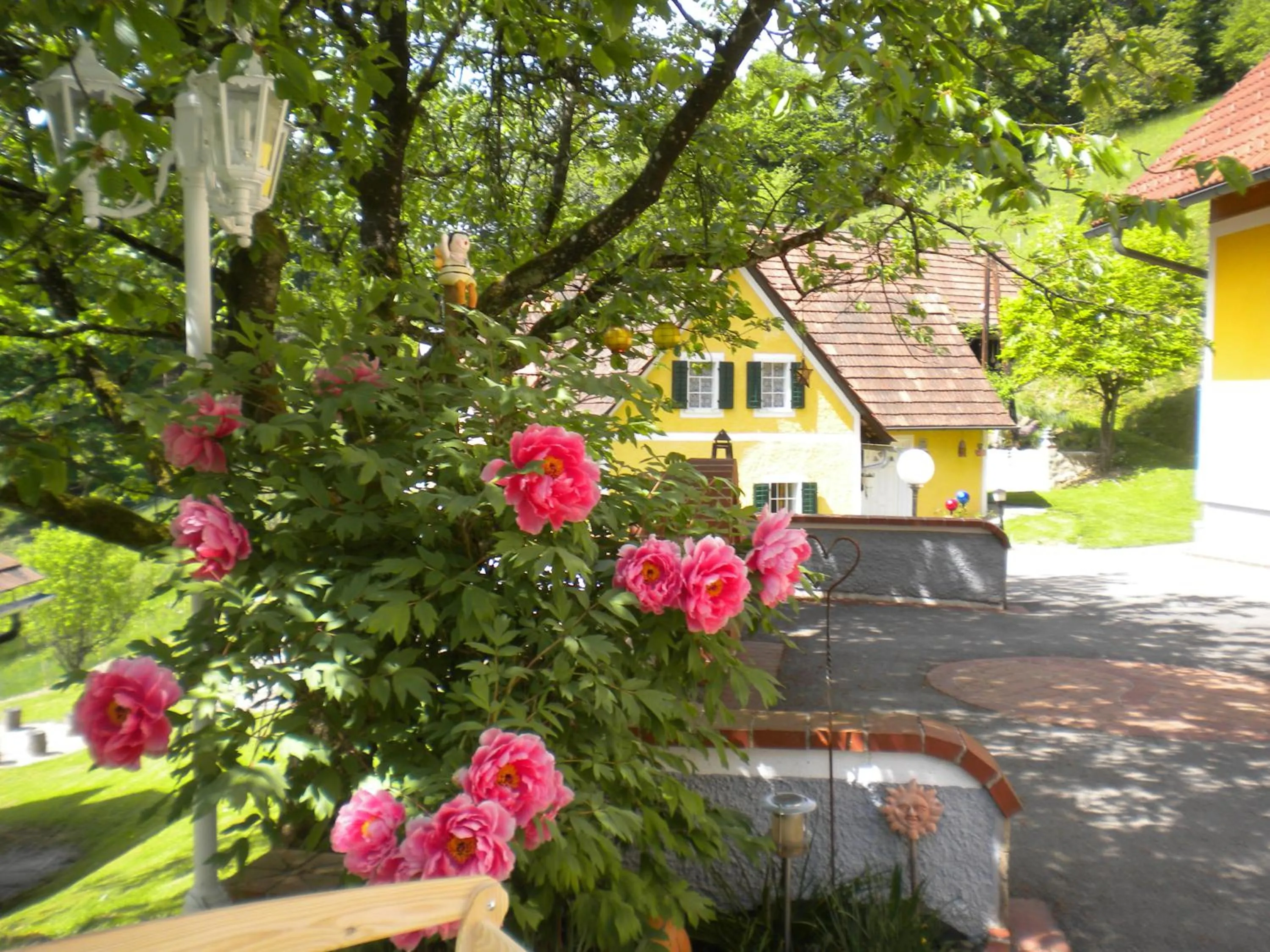 Patio in Buchschneider - Ferienhaus Maier - Landhof