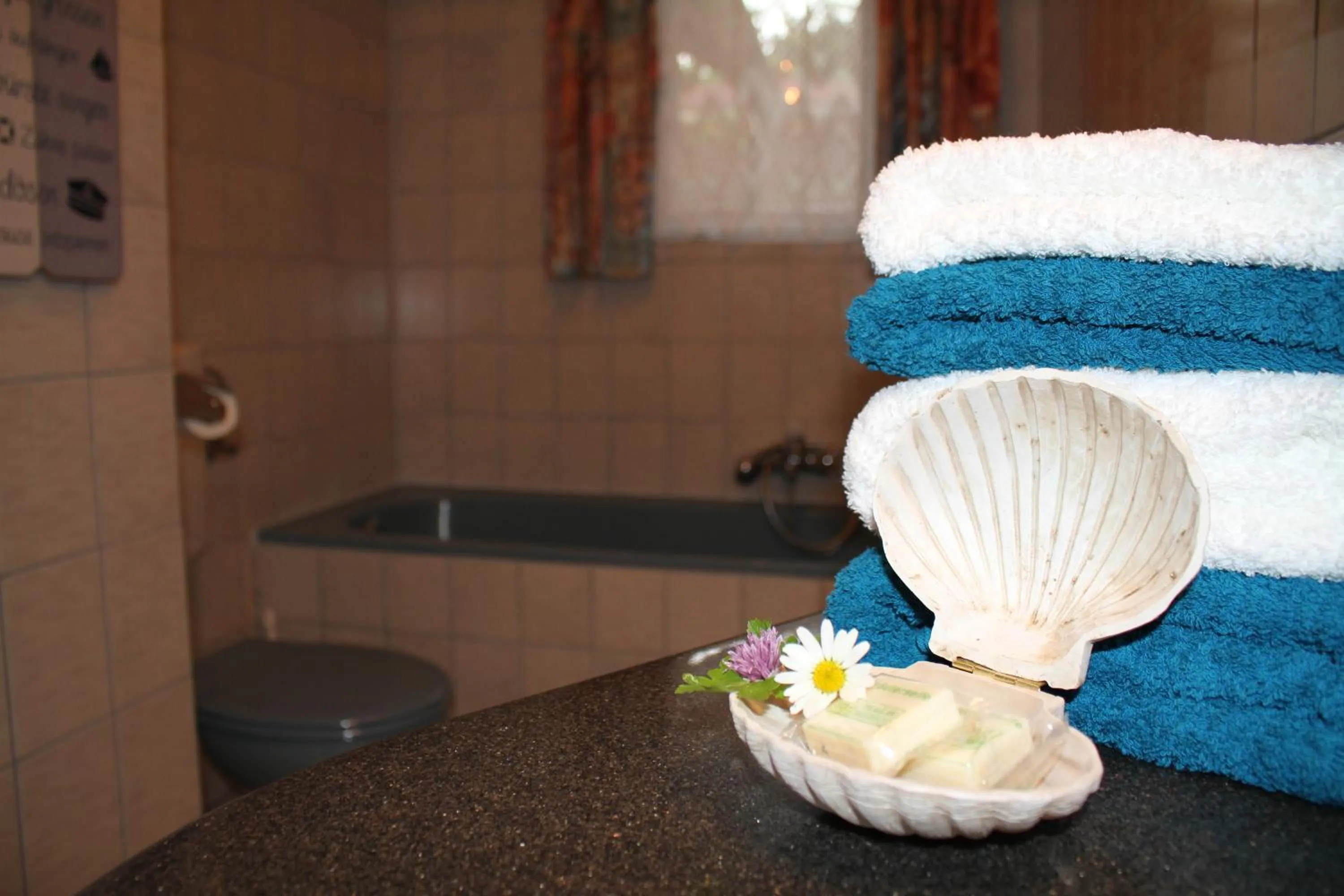 Buchschneider - Ferienhaus Maier - Landhof