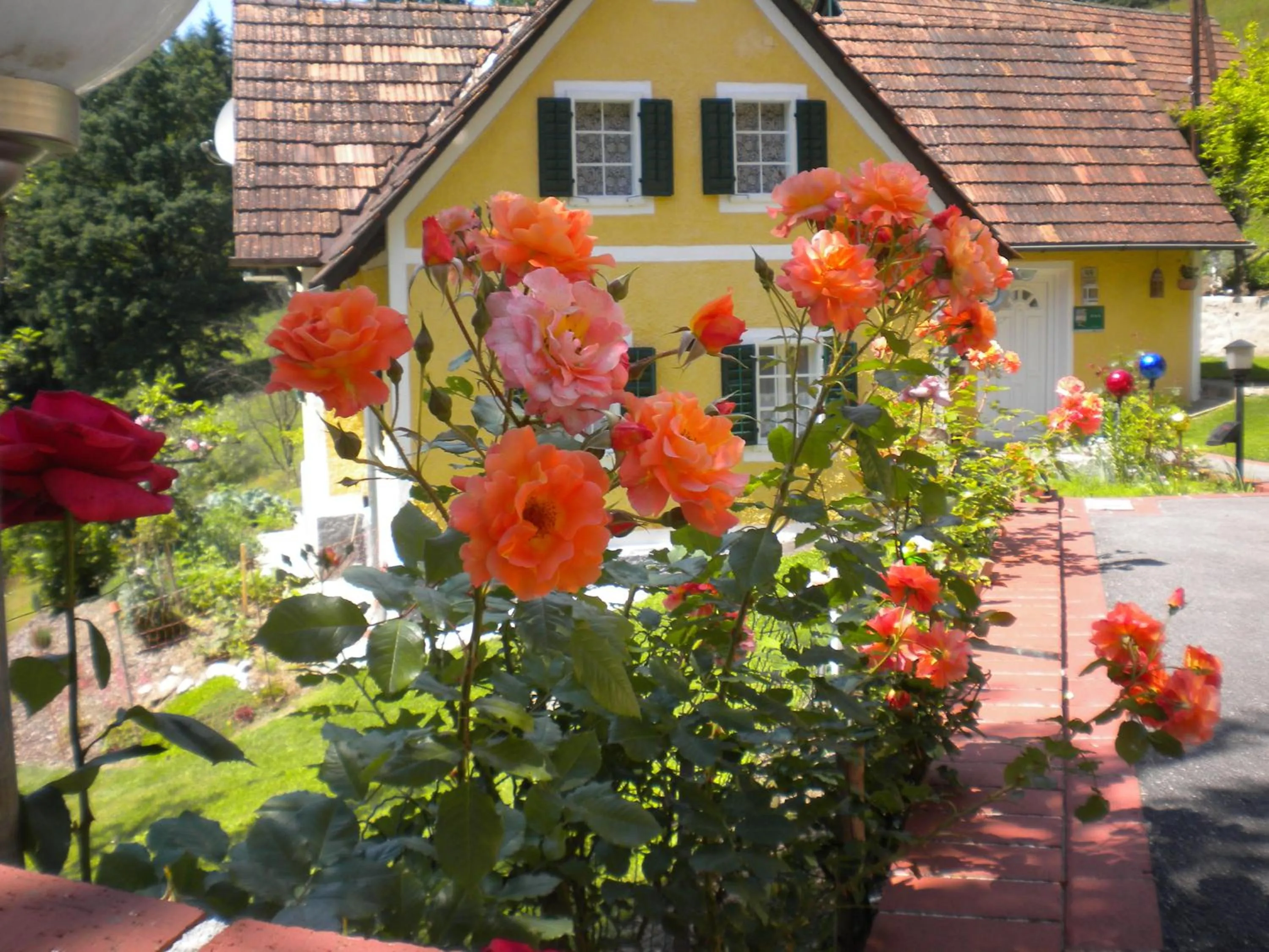 Property building in Buchschneider - Ferienhaus Maier - Landhof