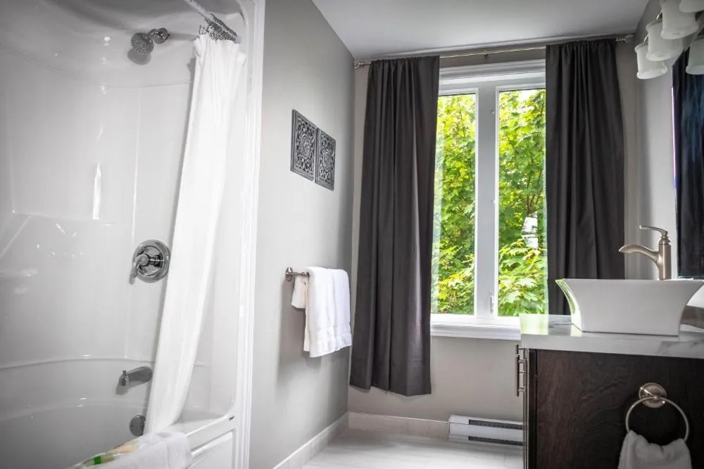 Newfound Inn & Suites