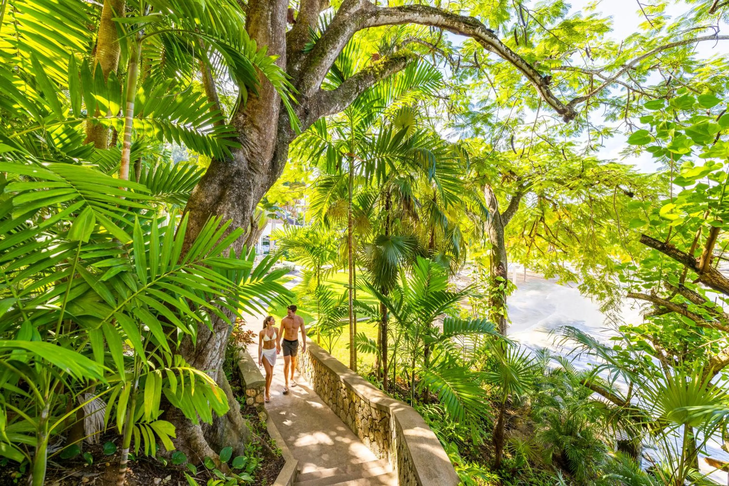 Natural landscape in Couples Sans Souci