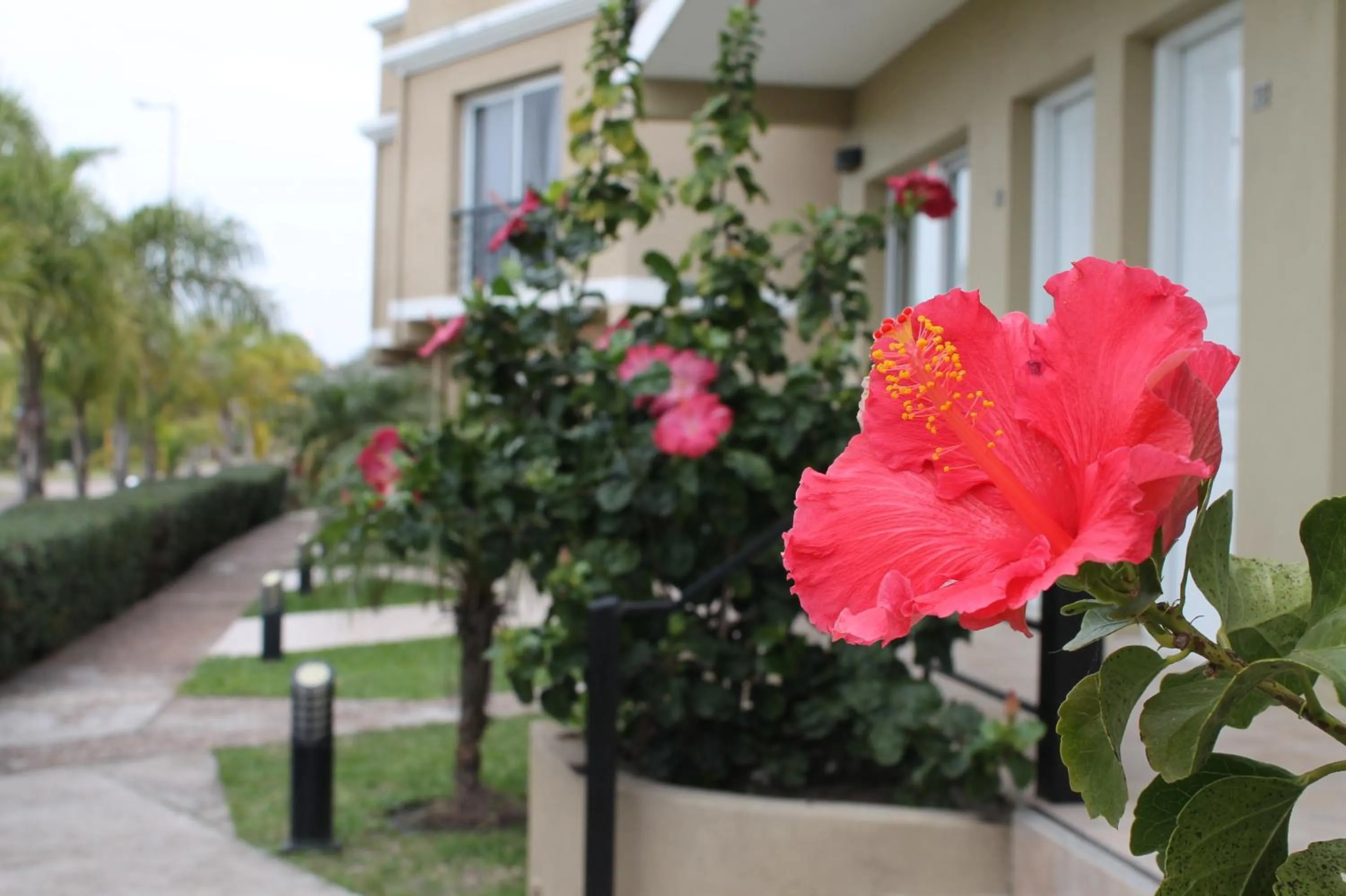 Spring in Brisas del Lago Apart y Hotel