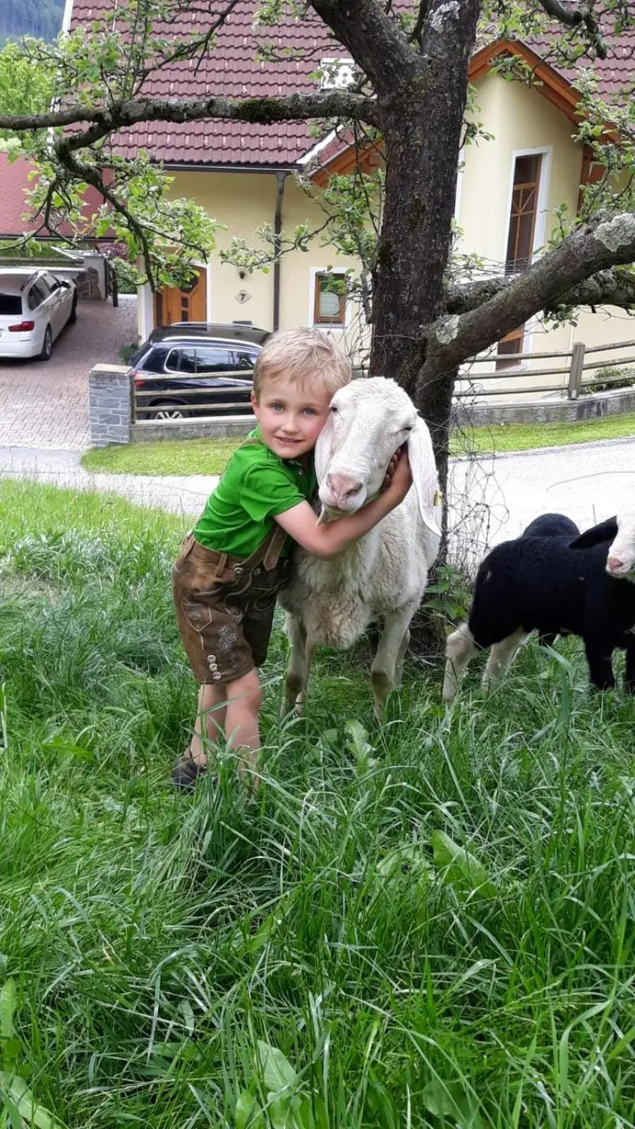 Ferienwohnungen Simonbauer Ferienwohnungen Simonbauer