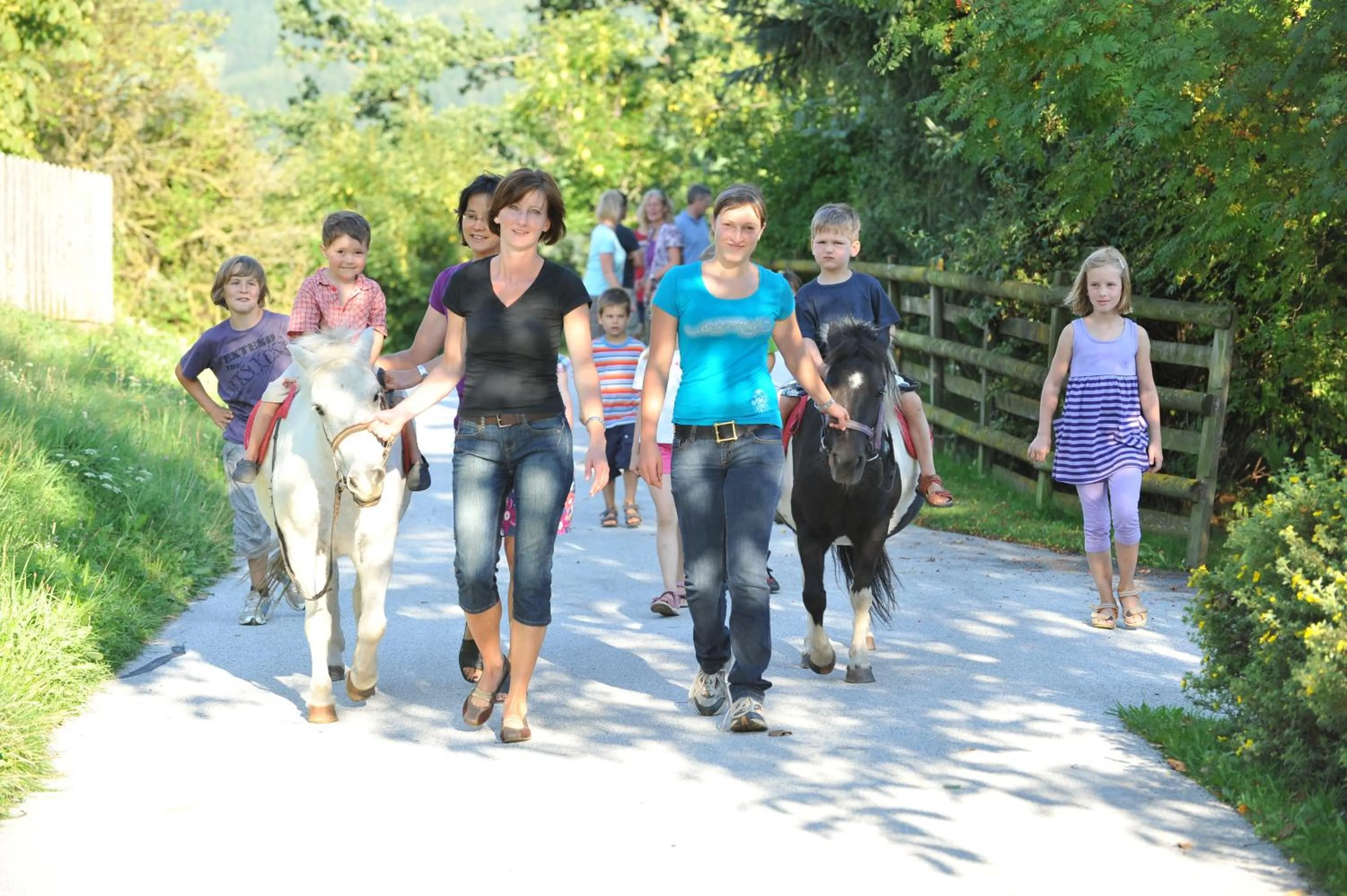 Horse-riding in Ferienwohnungen Simonbauer